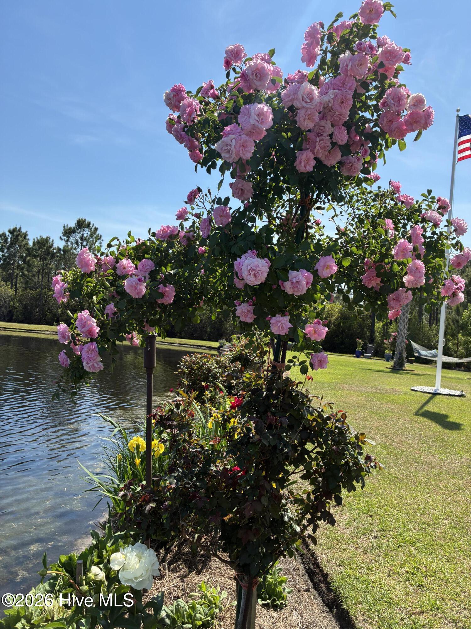 100560288 | Photo 121