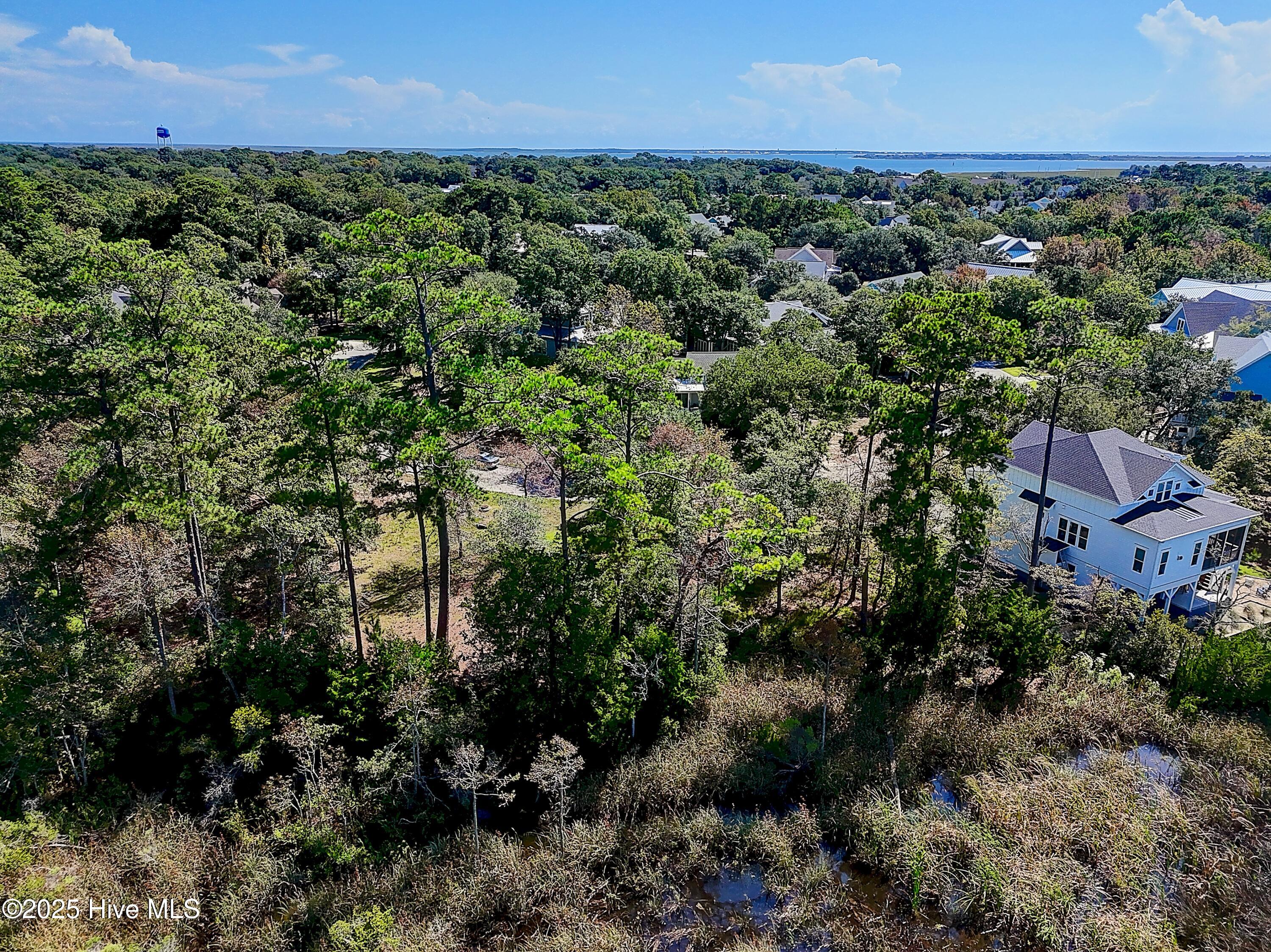 100533379 | Photo 13