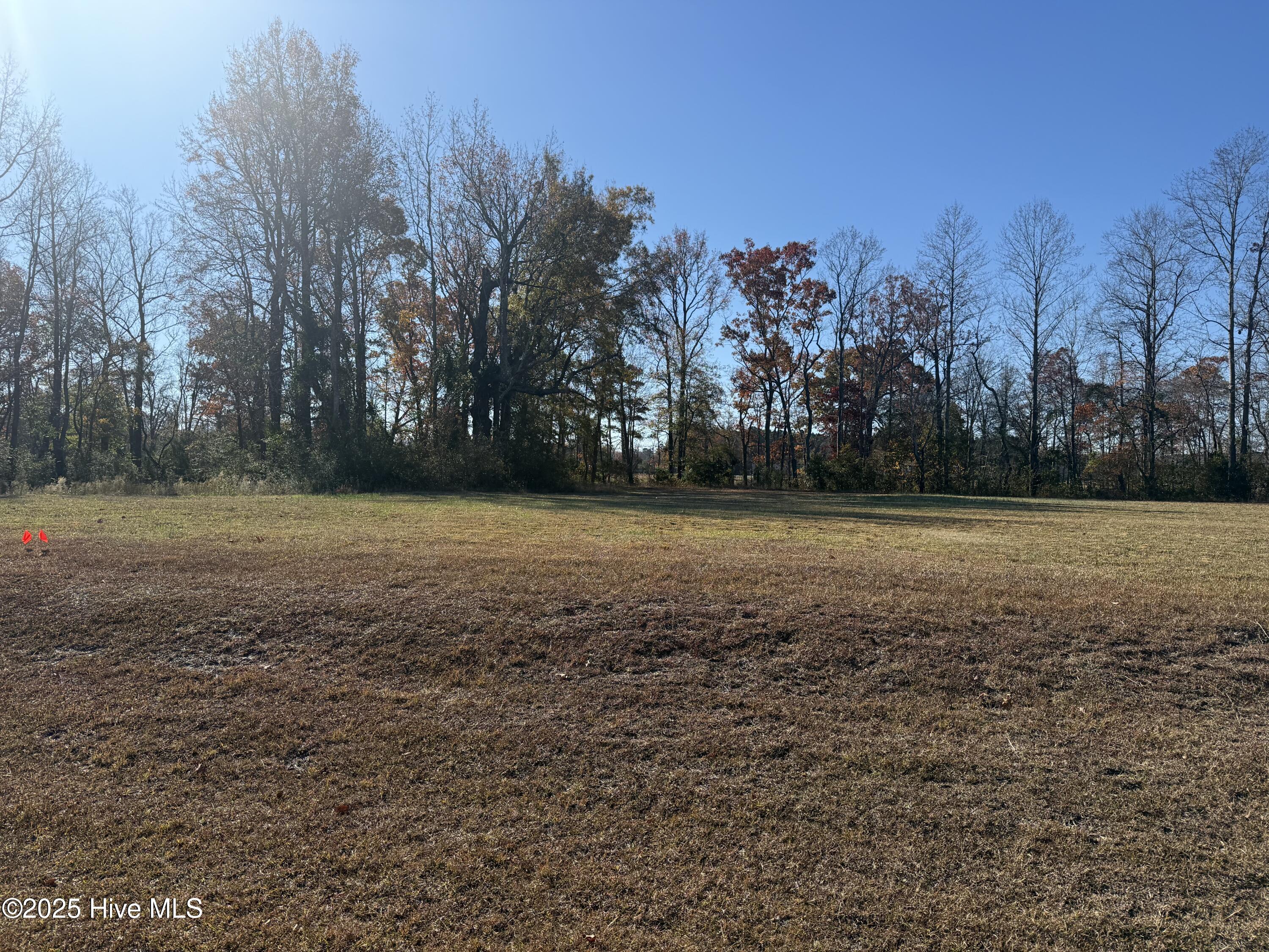 Homes for sale in Bath, NC | 136 Bridgewater Dr S, Bath, NC 27808 | MLS# 100542696