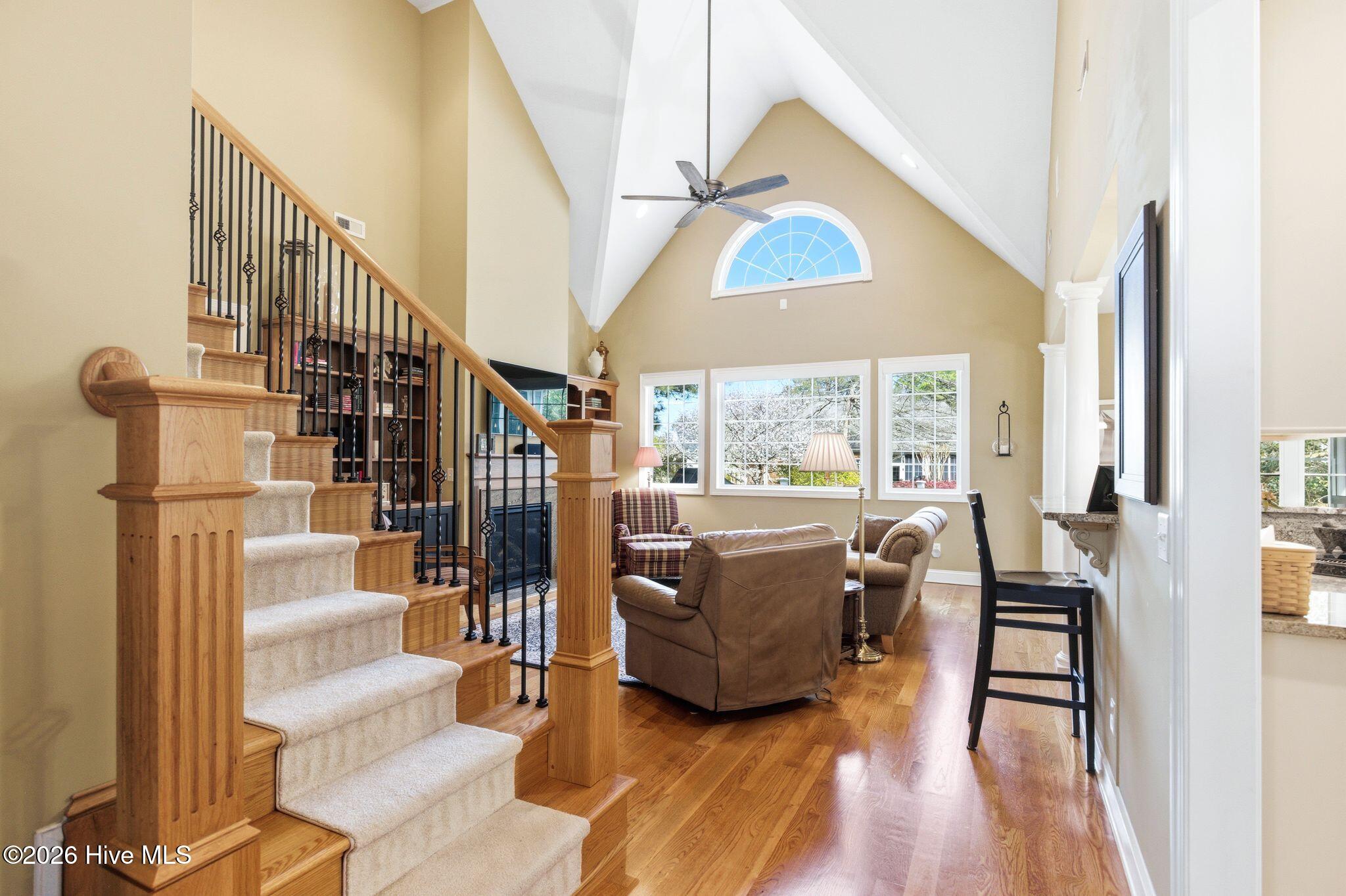 100564231 | Photo 11