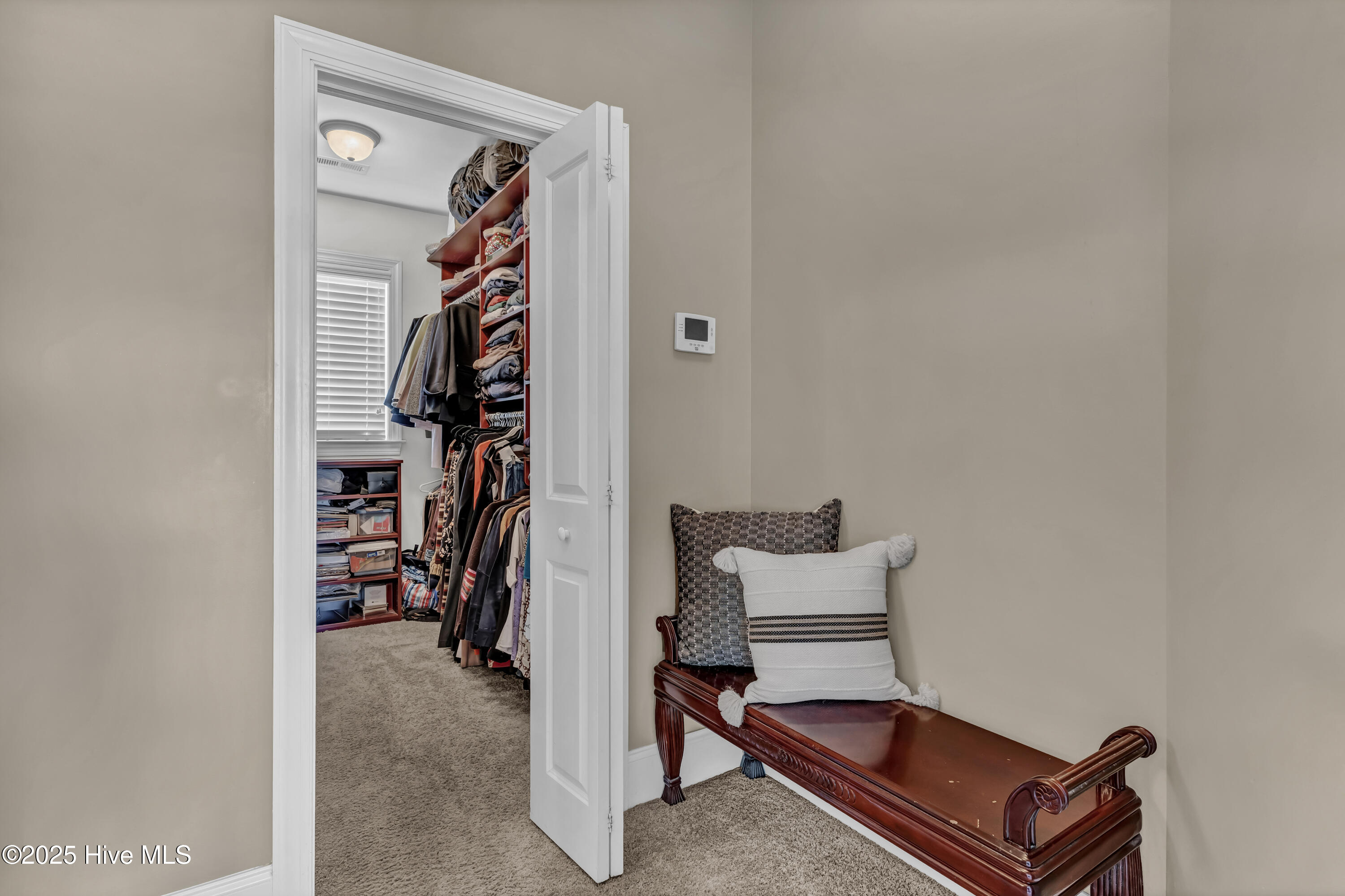 100504337 | Photo 26