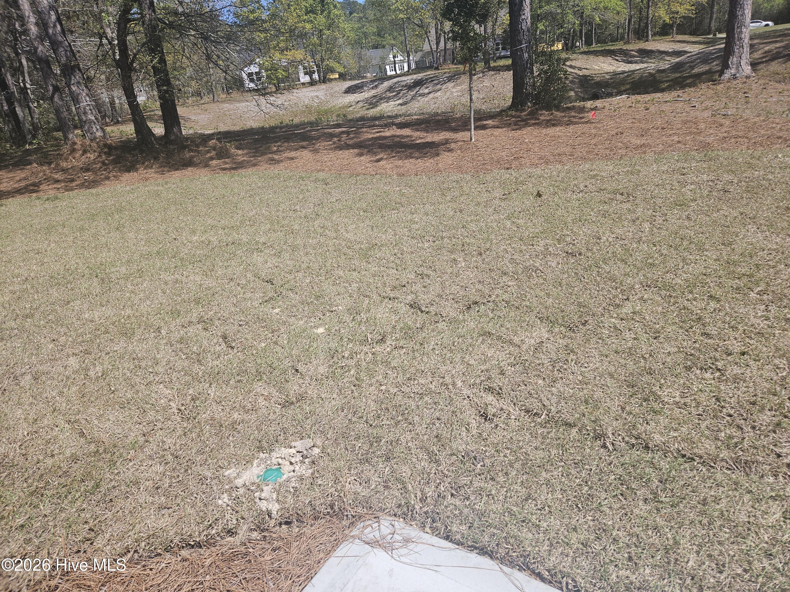 100532823 | Photo 72