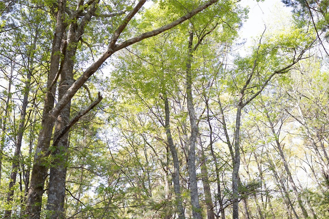 000 Union Point Road, Stephens, GA, 30667