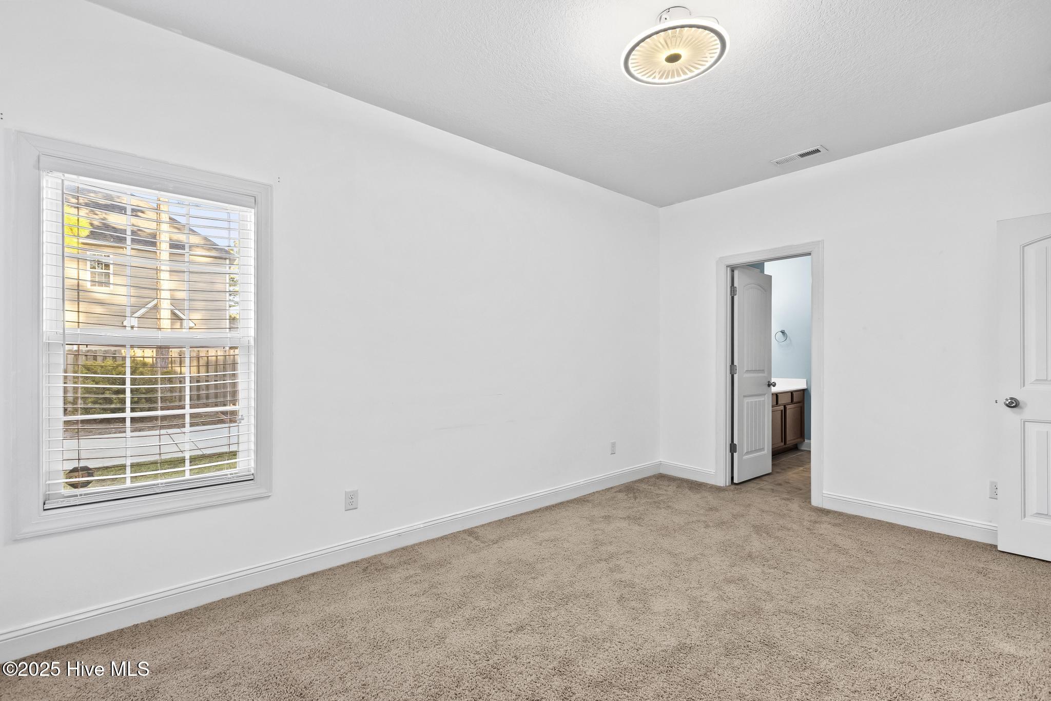 100536910 | Photo 37