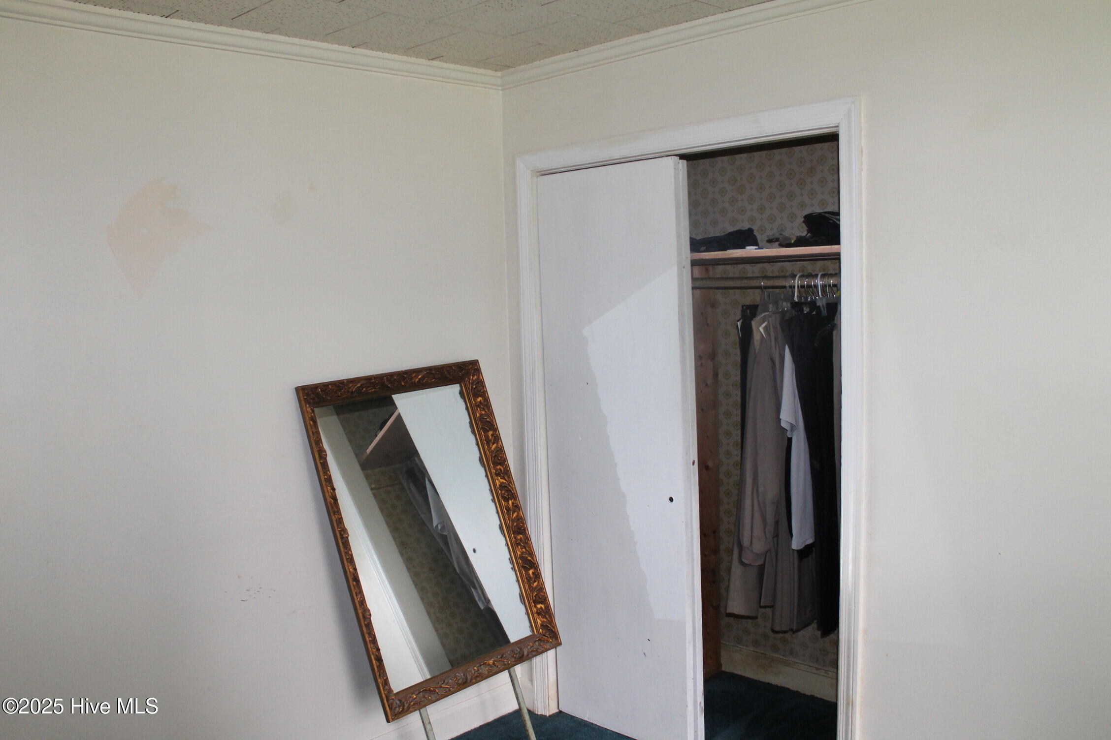 100535737 | Photo 22