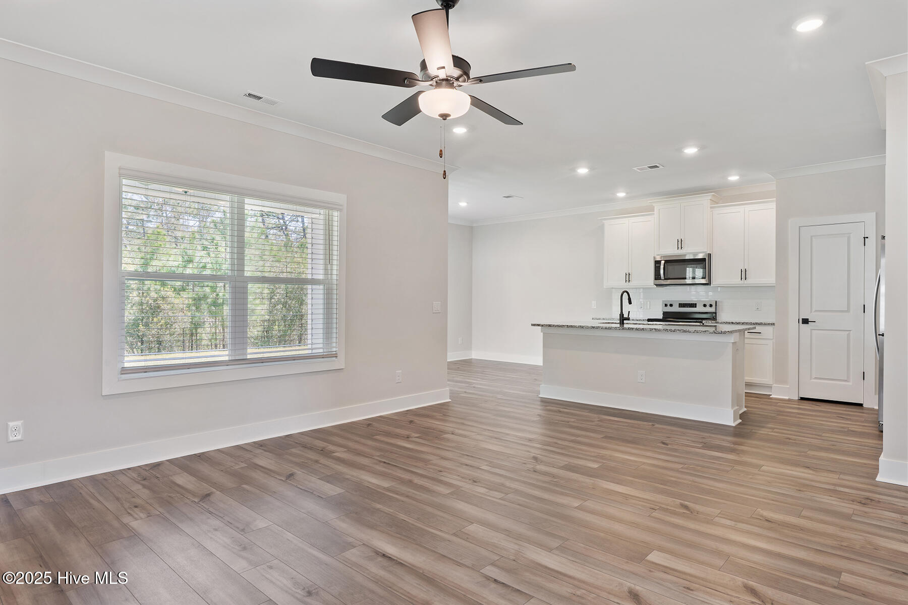 113 Umbrella Palm Drive, Hampstead, NC, 28443