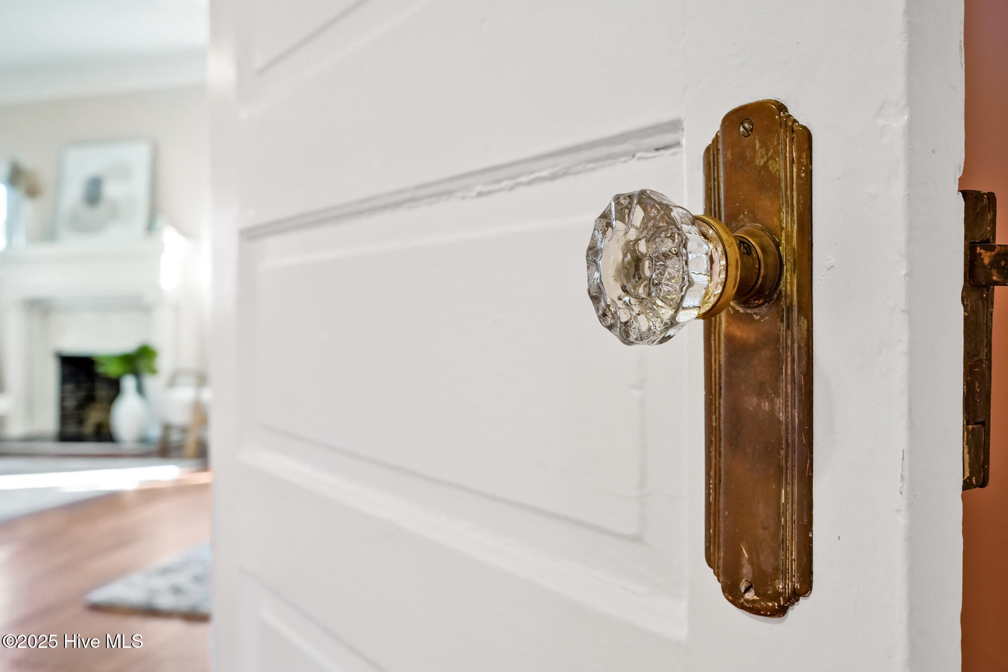 100544922 | Photo 31