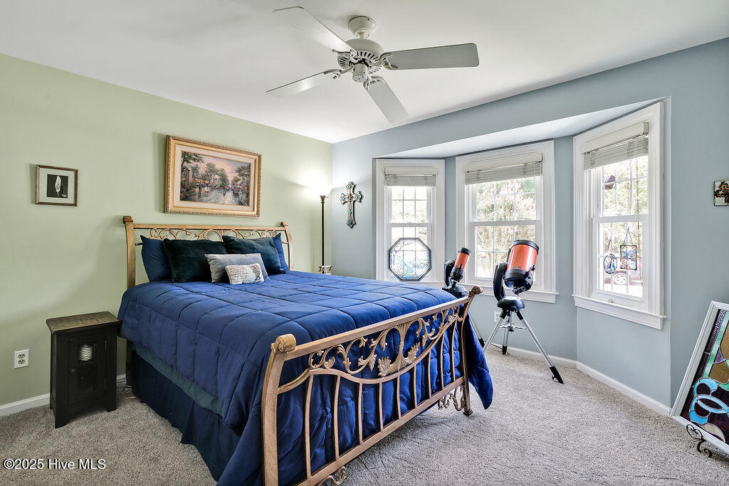 100515391 | Photo 26