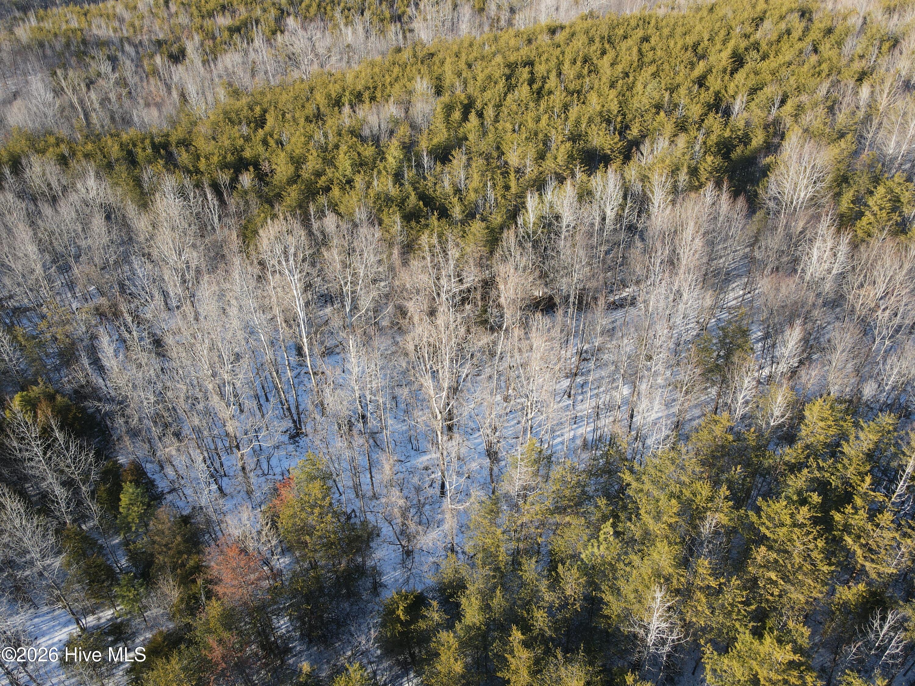 380 Redd Lane, Java, VA, 24565