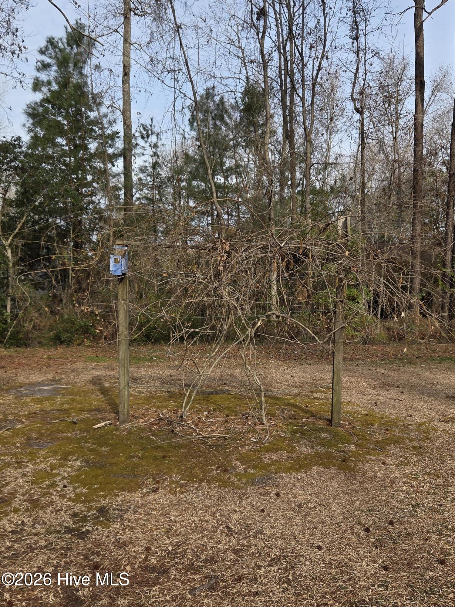 100551220 | Photo 21