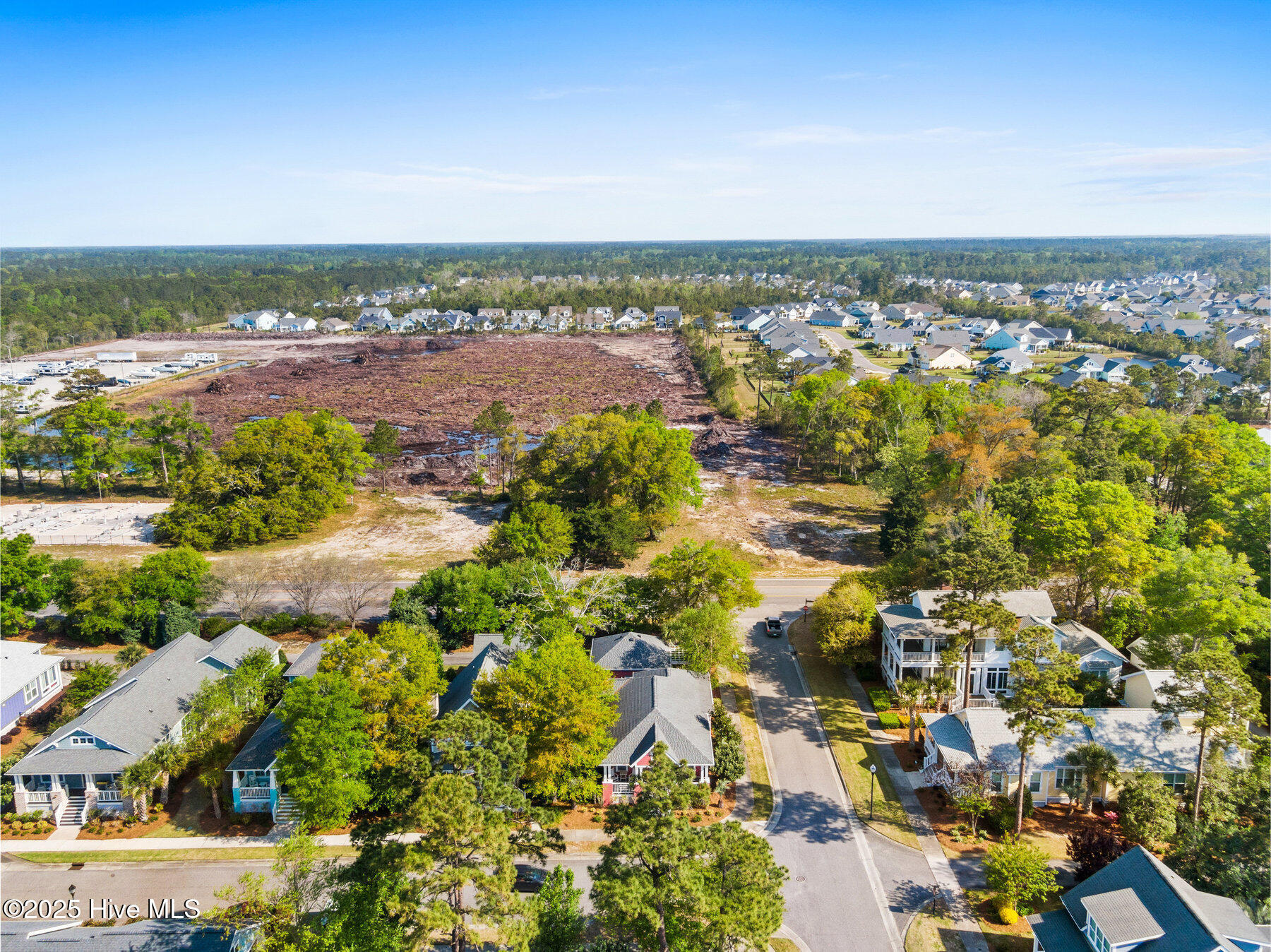 100503358 | Photo 42