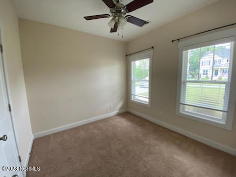 100549356 | Photo 16