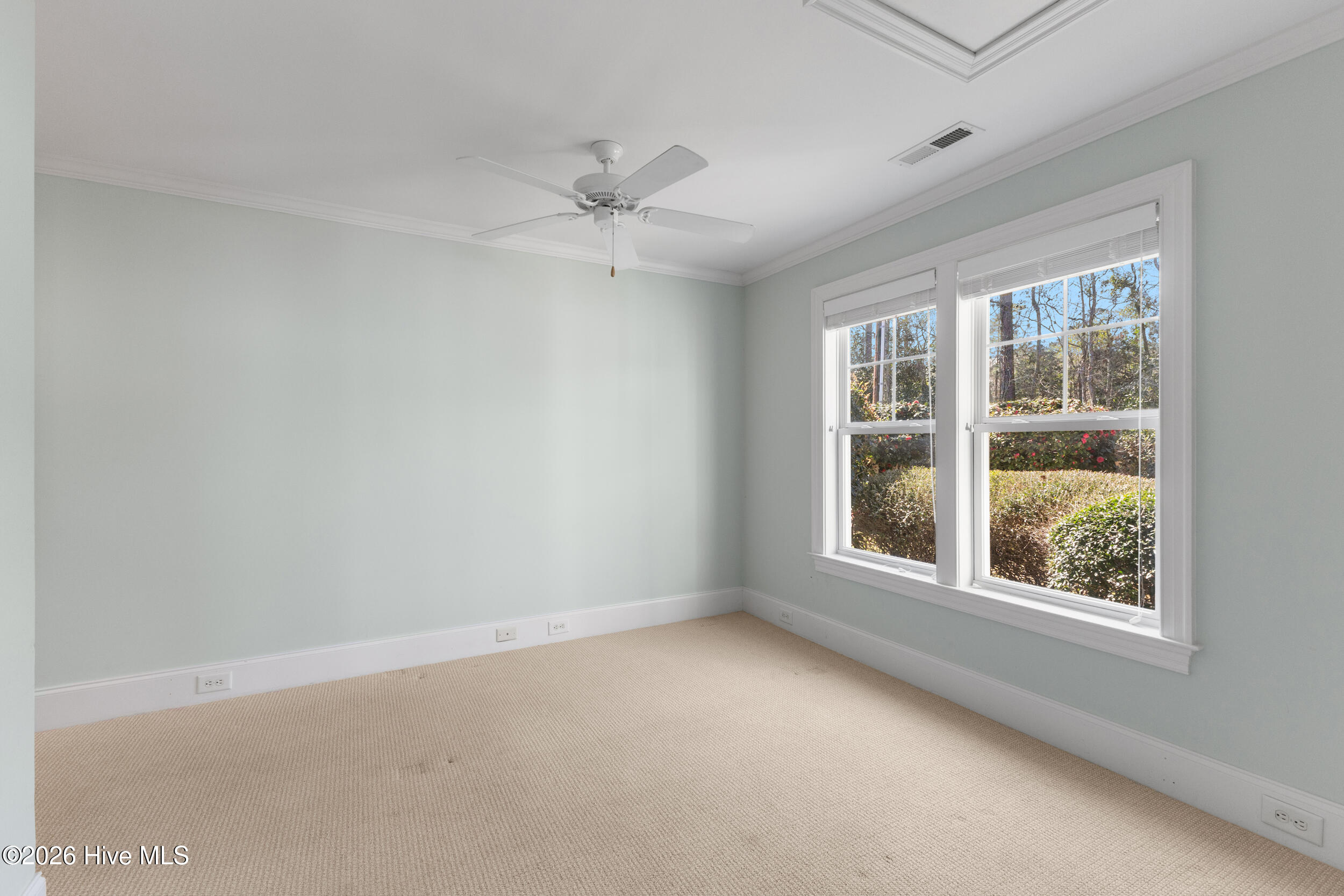 100561690 | Photo 39