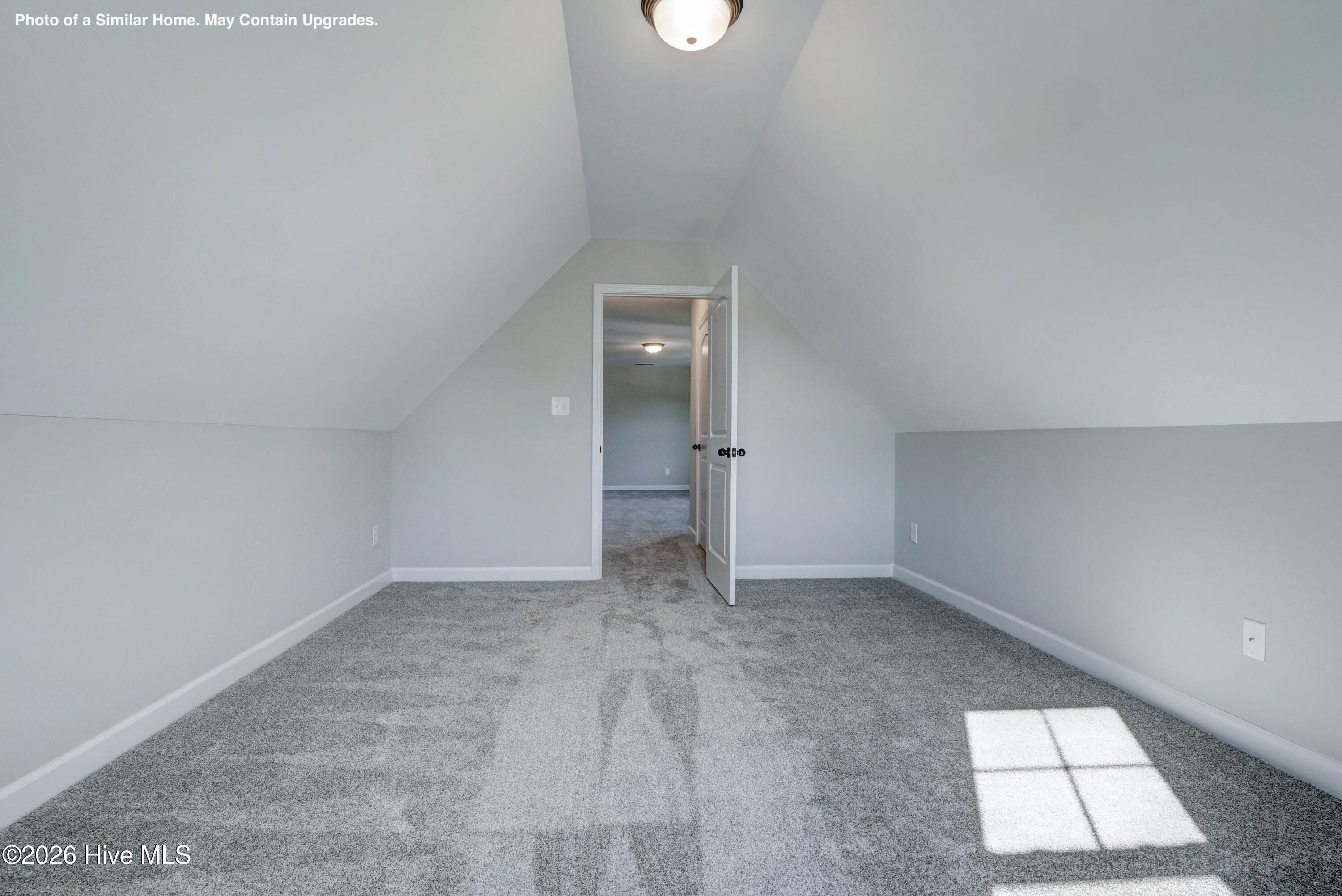 100567172 | Photo 25