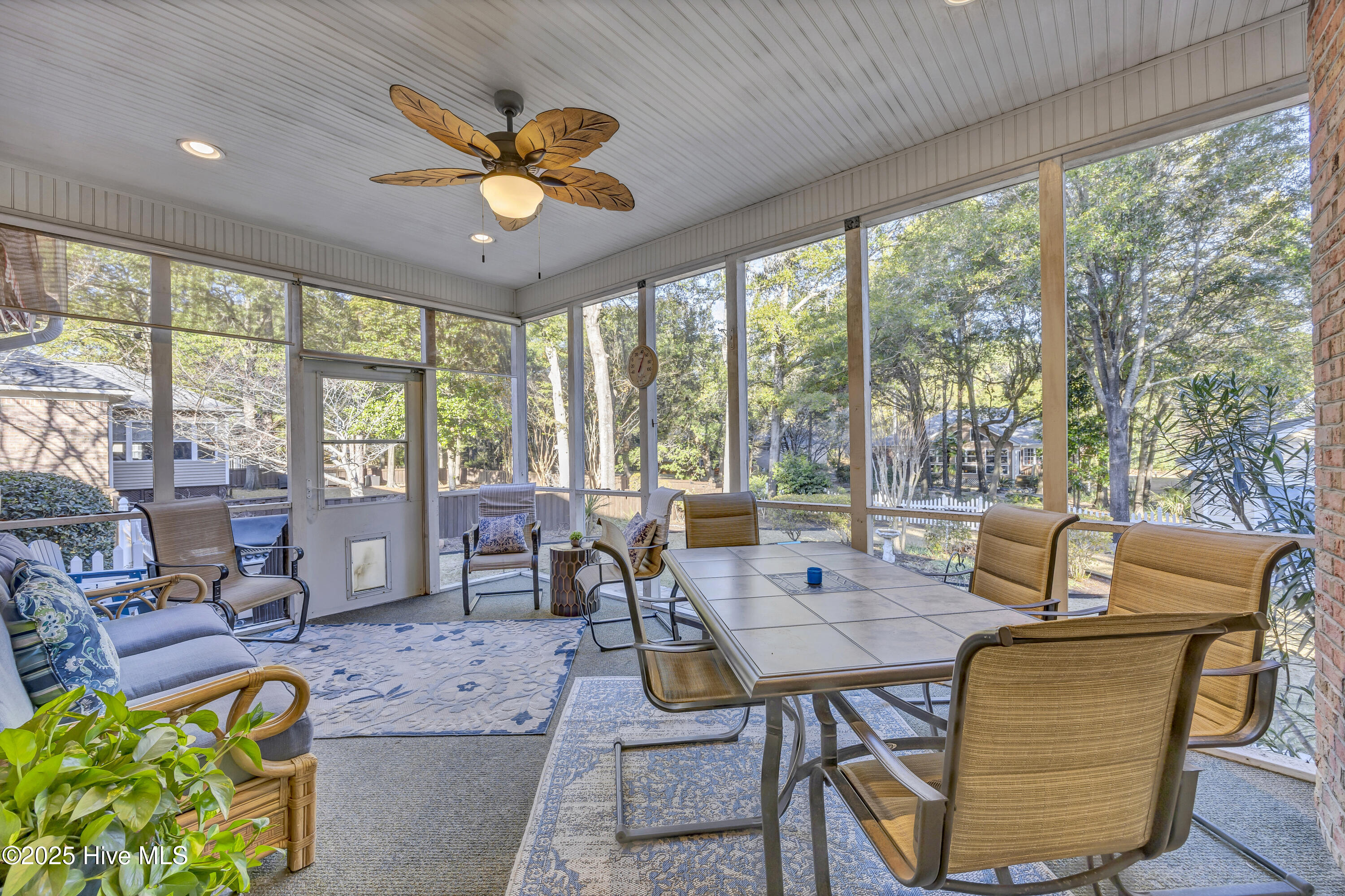 100546404 | Photo 24