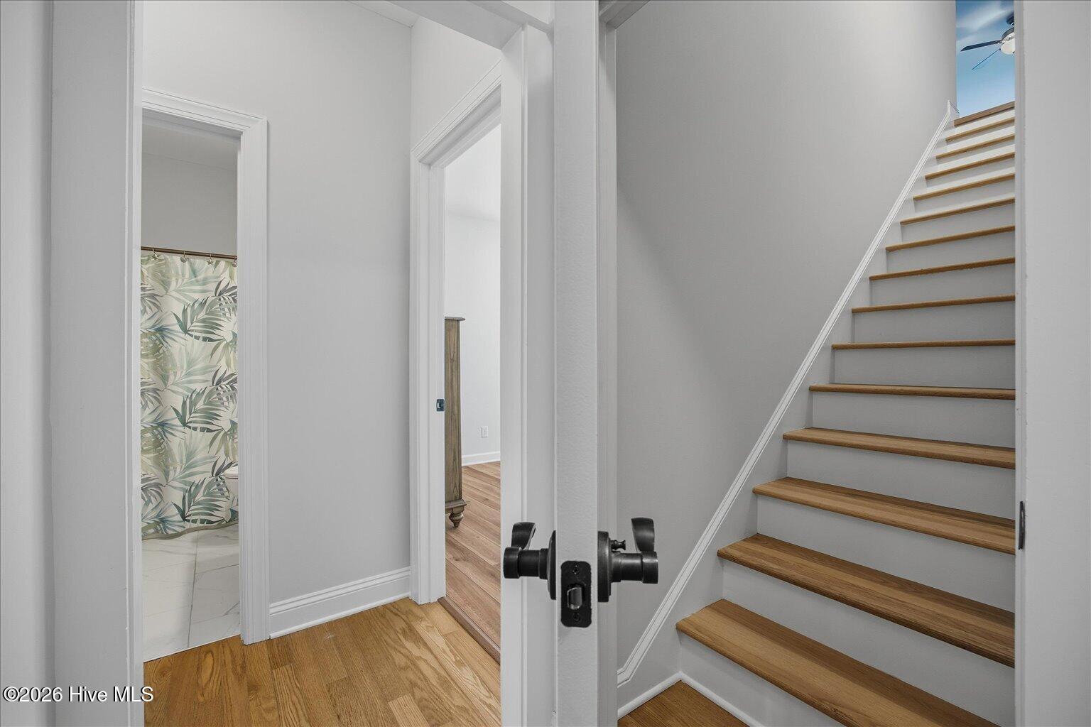 100550413 | Photo 49