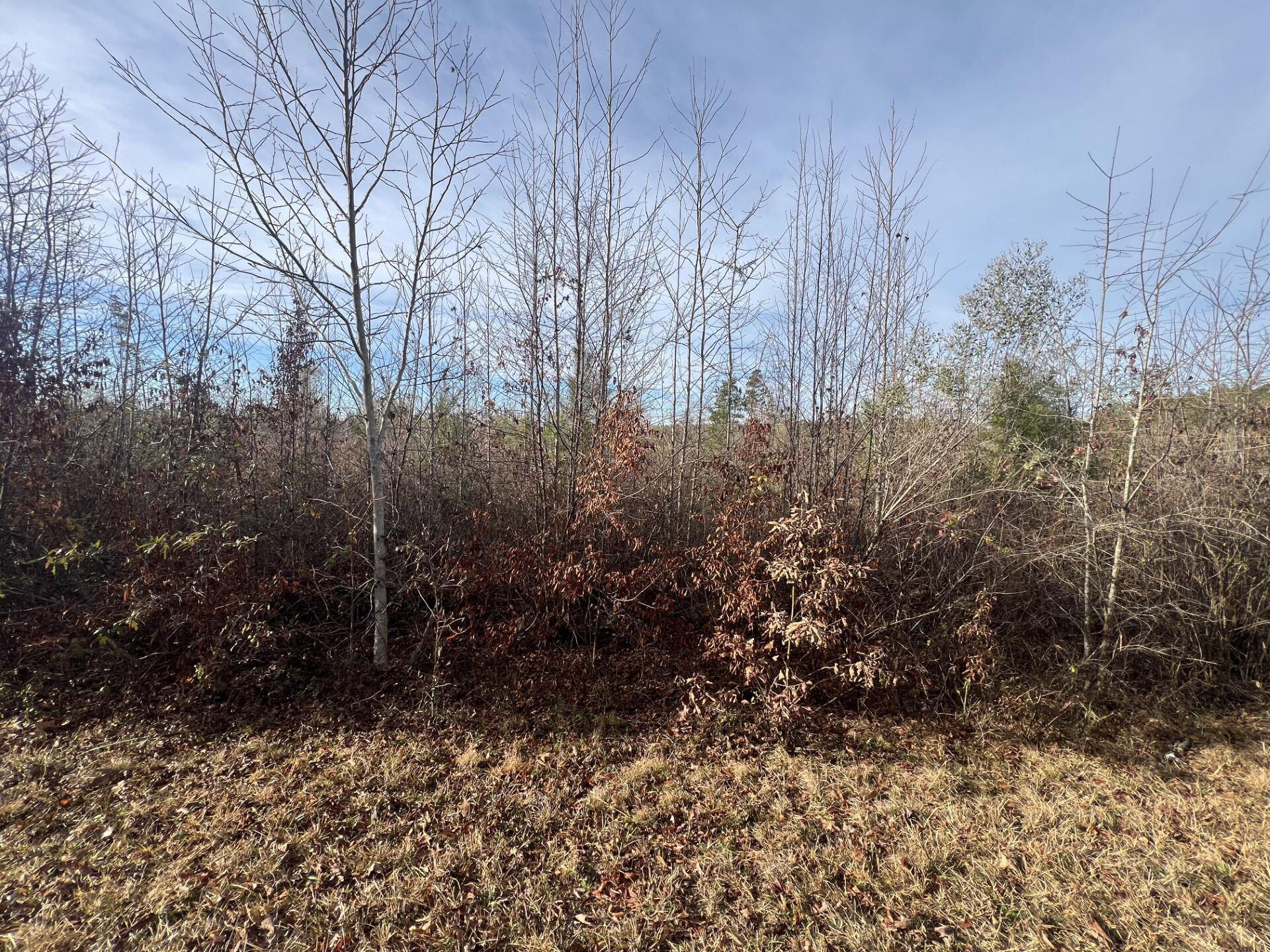 LOT3 HEPHZIBAH CHURCH ROAD, Lincolnton, GA, 30817