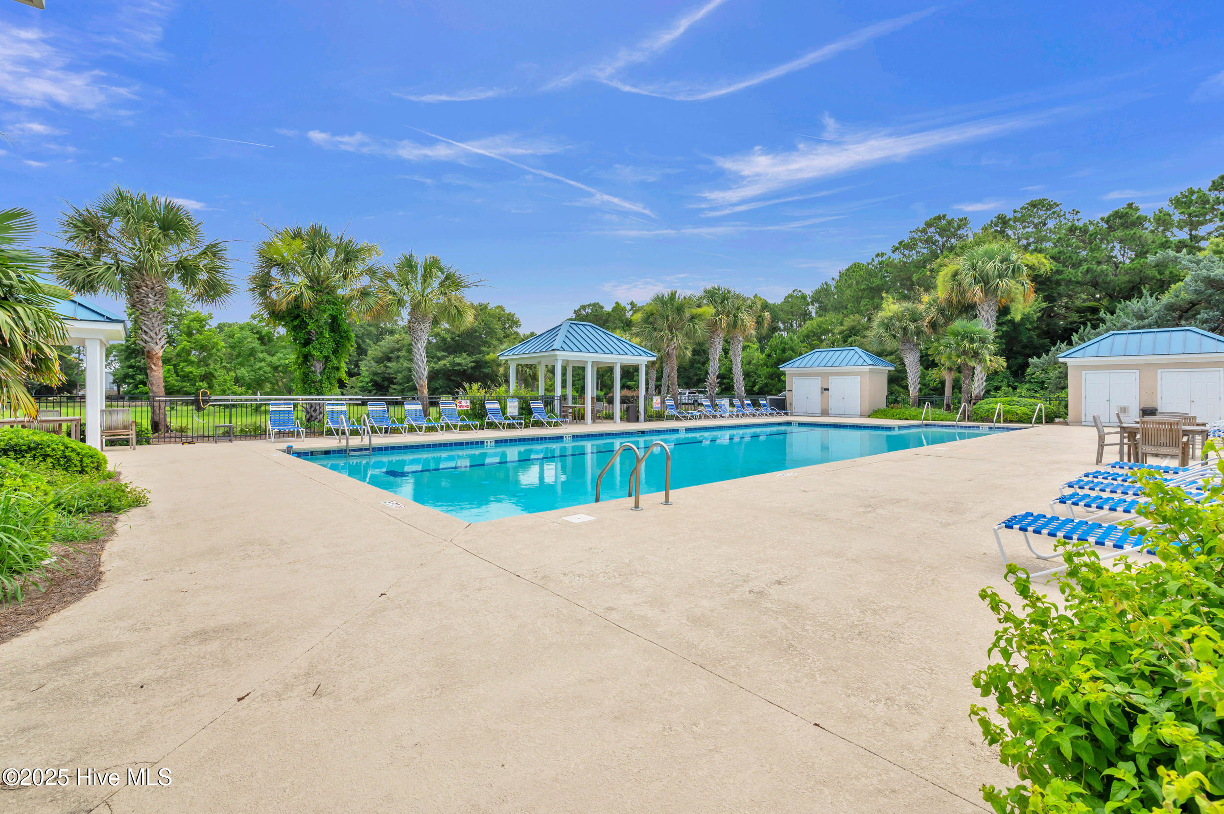 100519545 | Photo 34