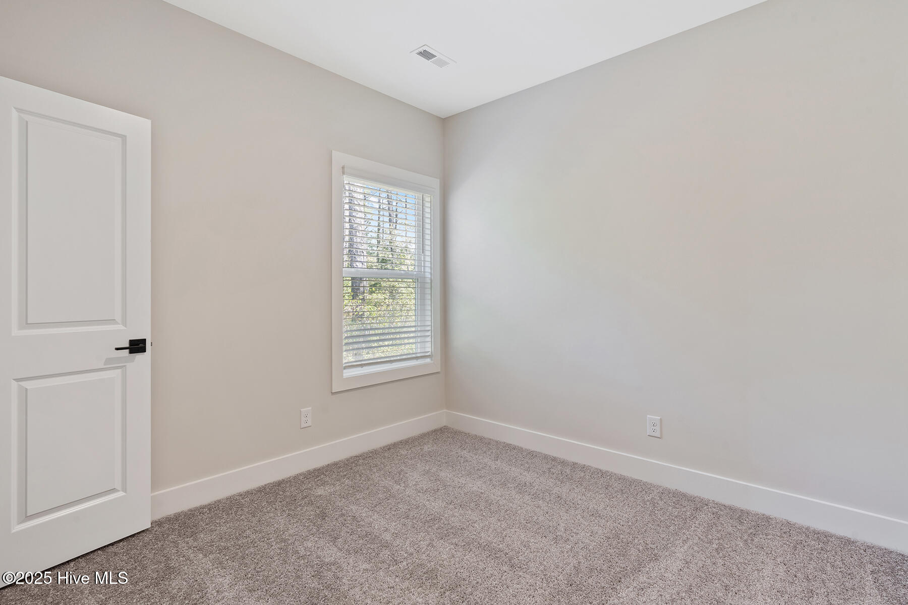 100556832 | Photo 13