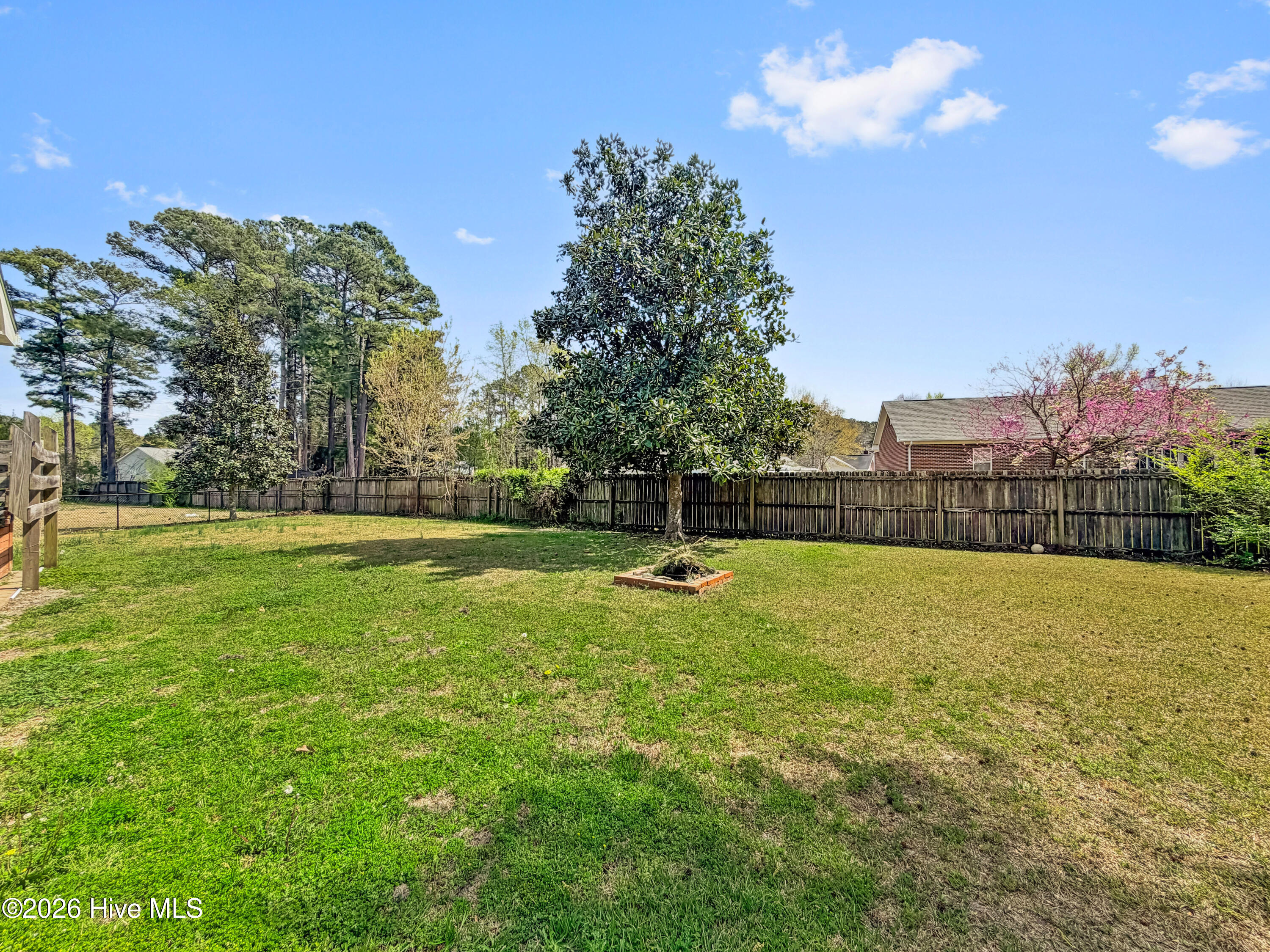 100564725 | Photo 40