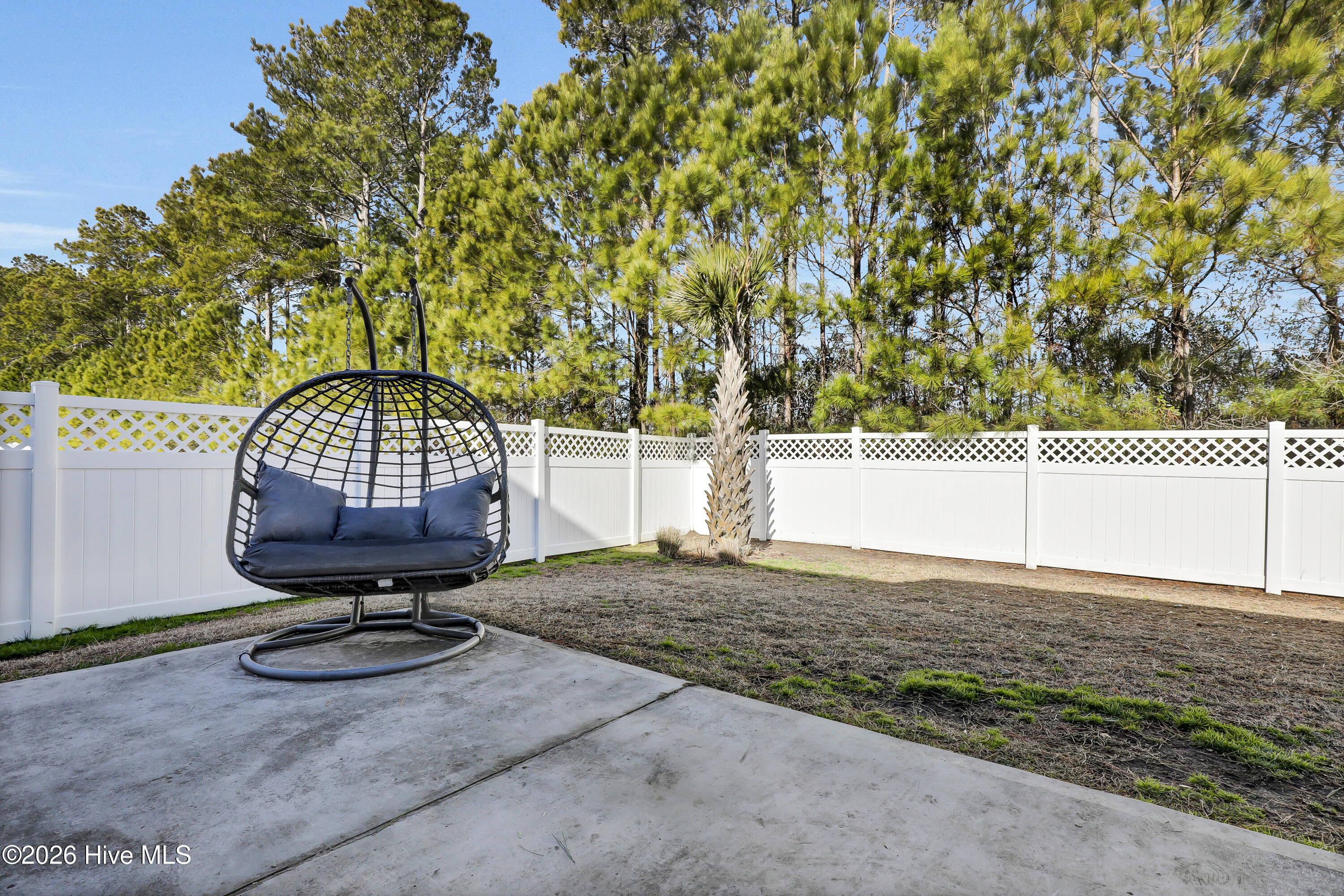 100556741 | Photo 42