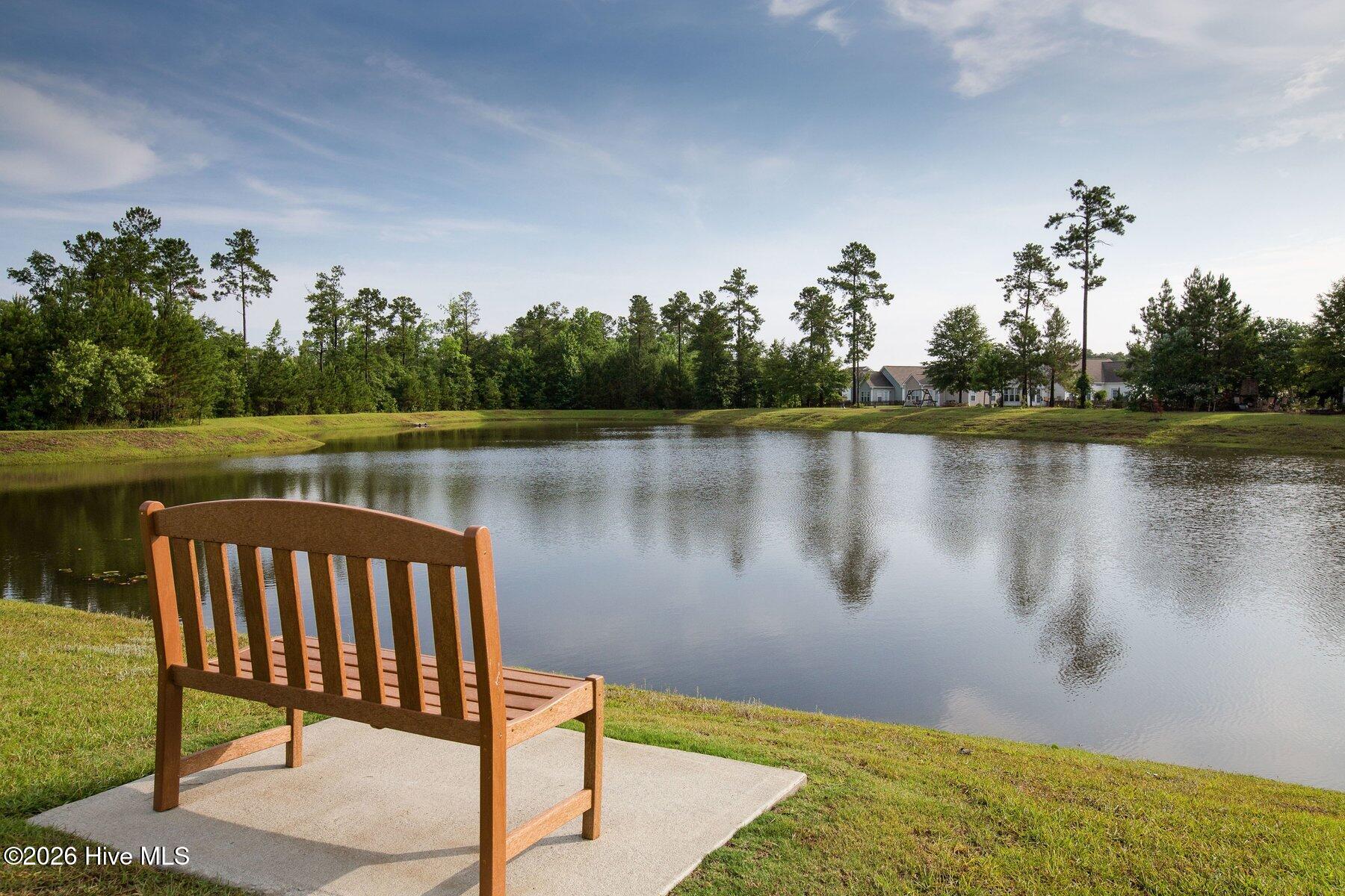 100556434 | Photo 26