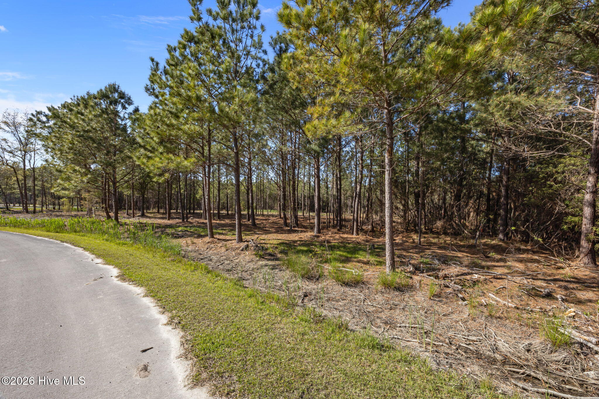 11 44 E Diamond Shoal Lane,Vandemere
