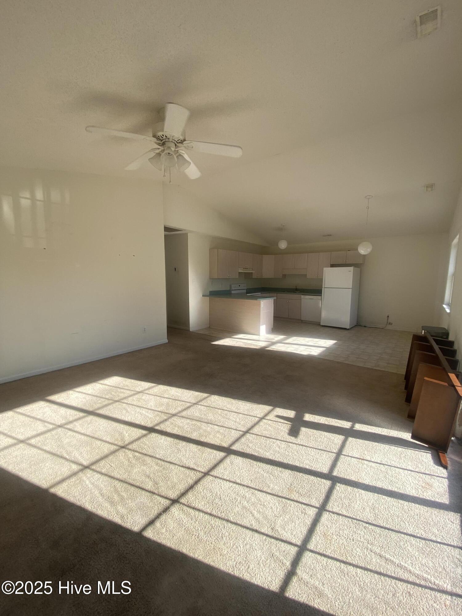 100517561 | Photo 29