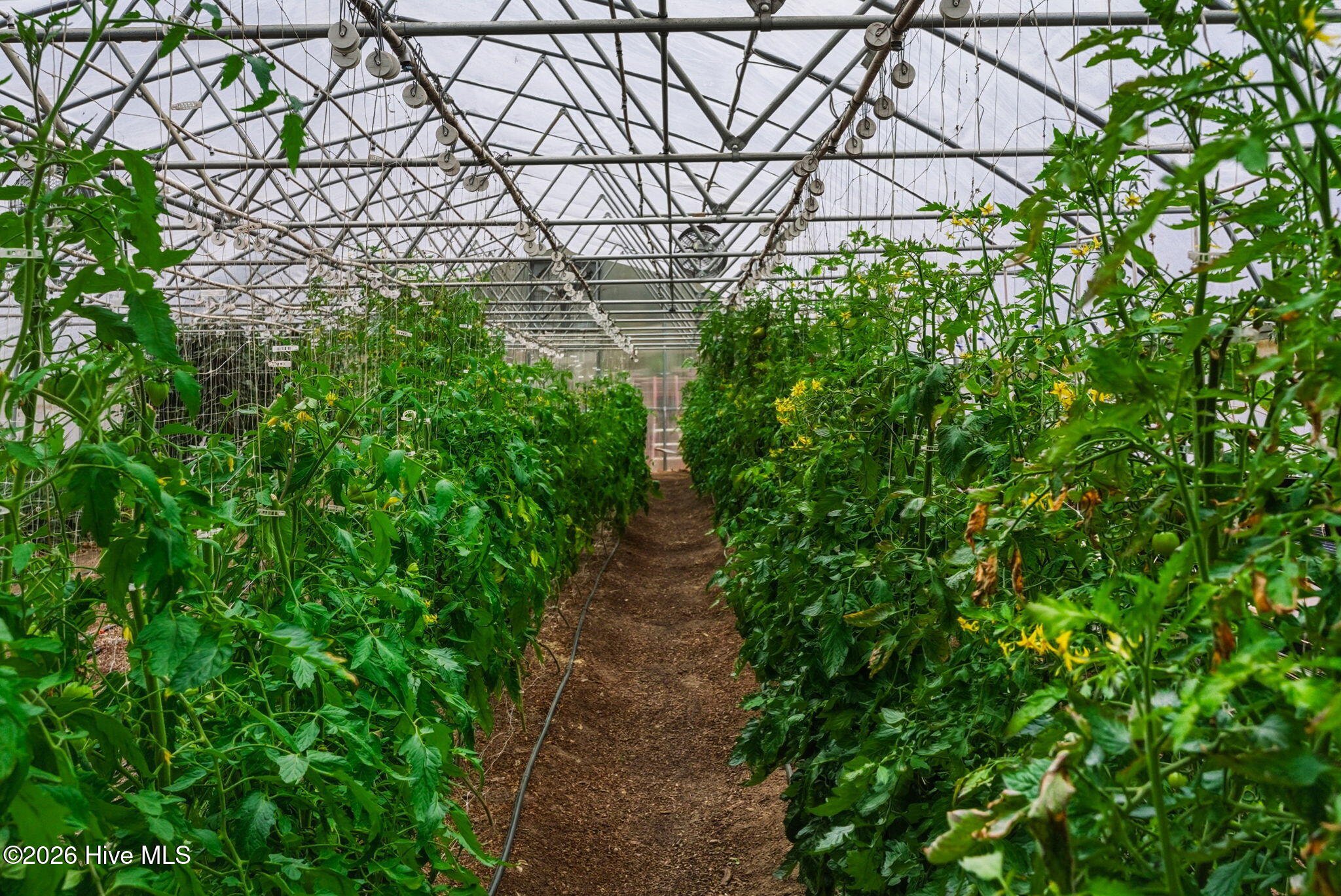 107 Linden Trail, Aberdeen, NC, 28315