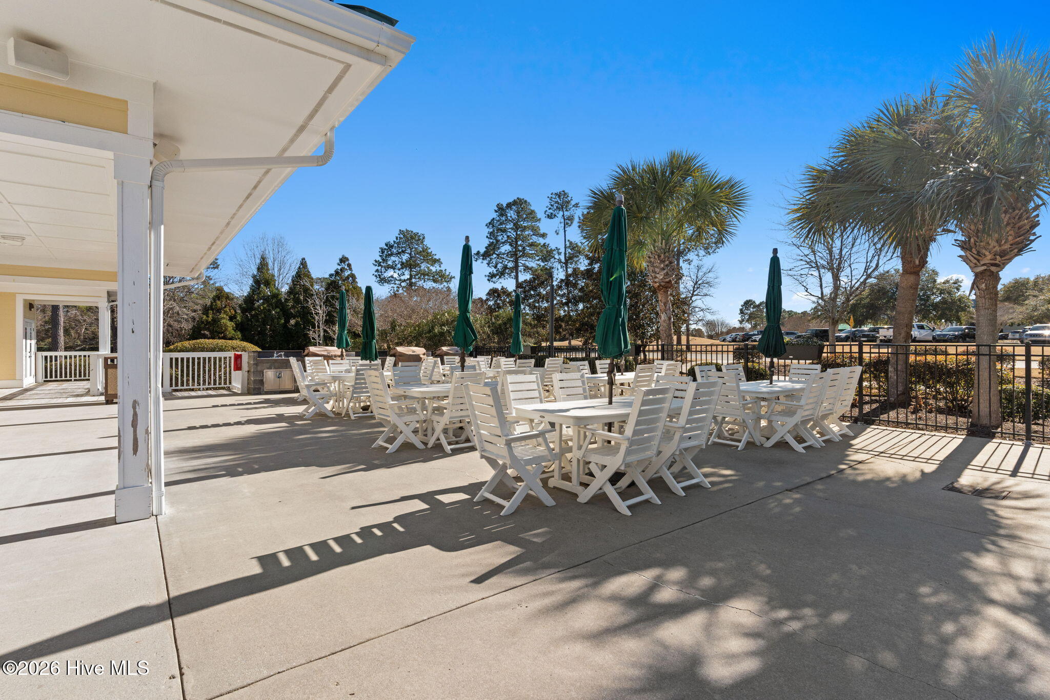 100553599 | Photo 65