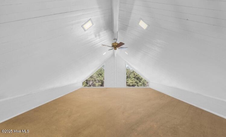 100540633 | Photo 19