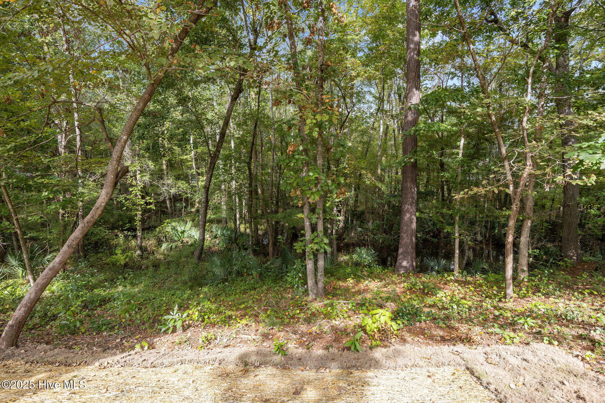 100535538 | Photo 39