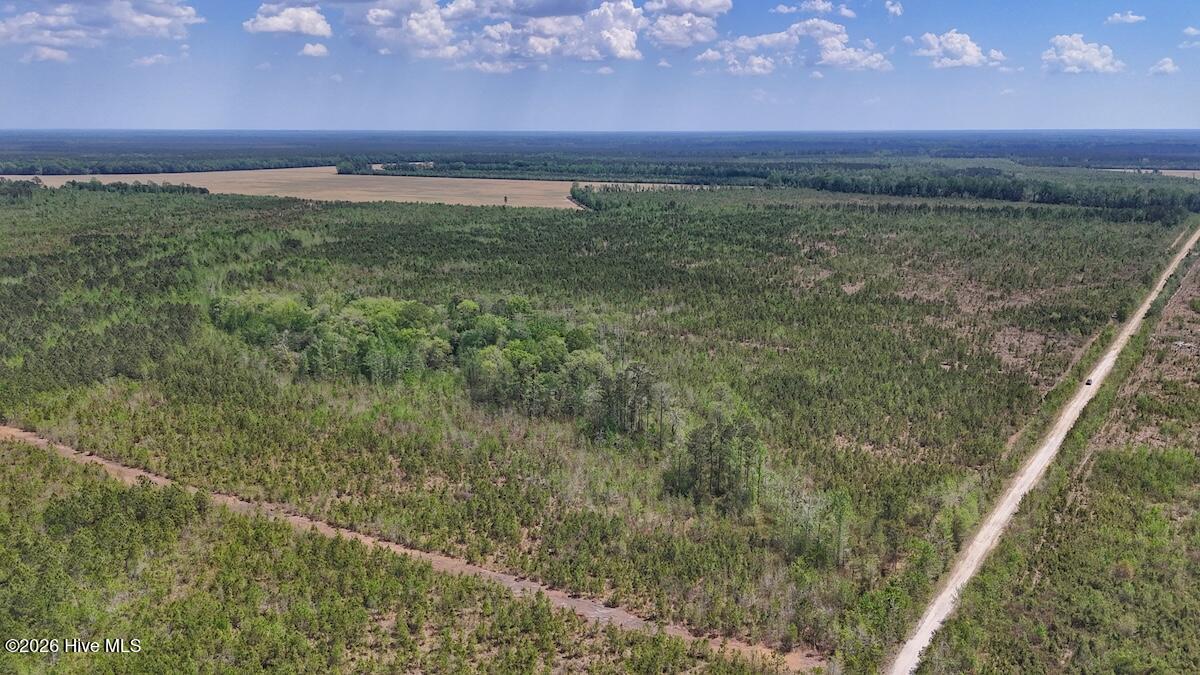 0 Guinea Mill Road, Ernul, NC, 28527