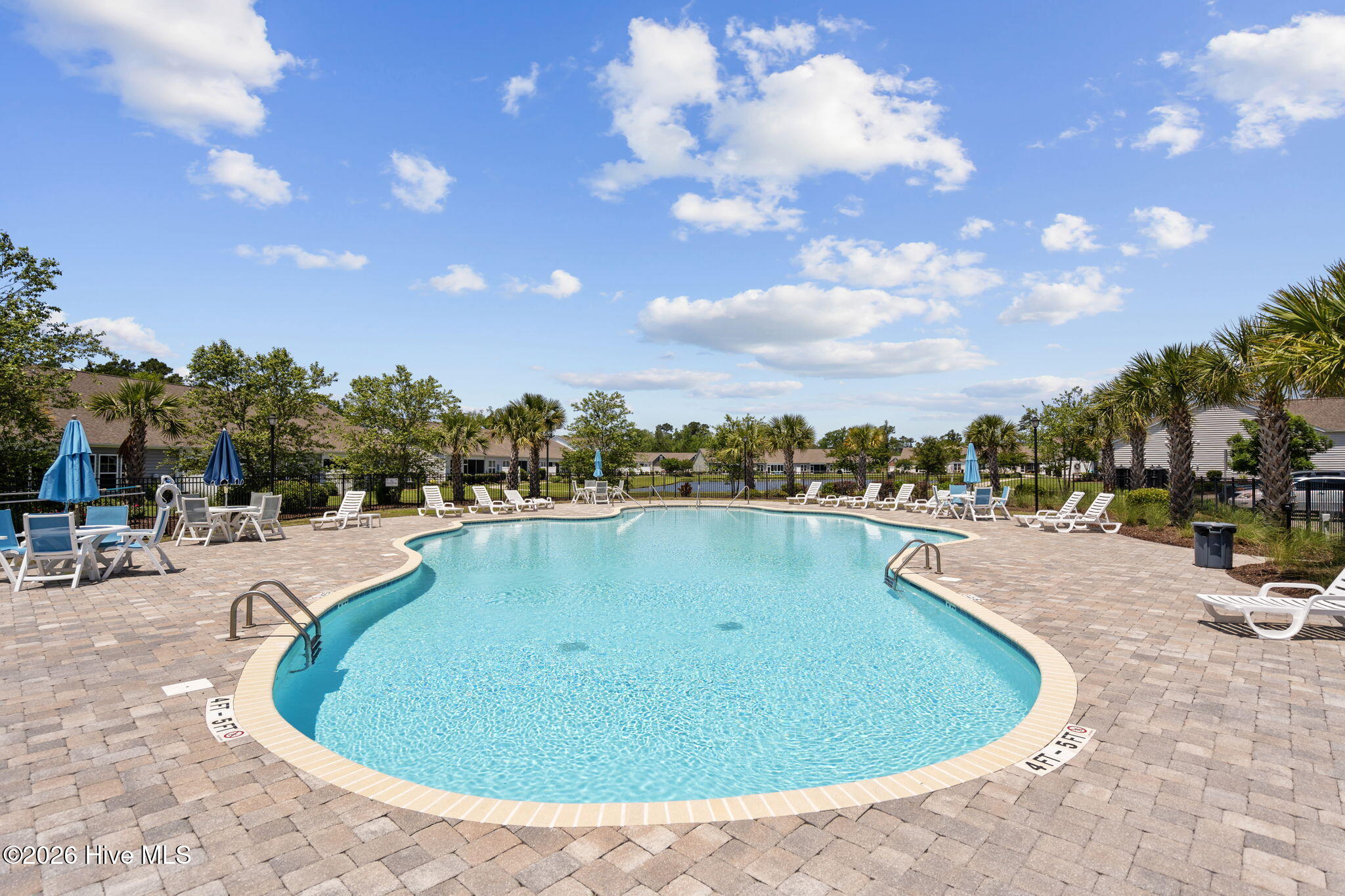 100554363 | Photo 53