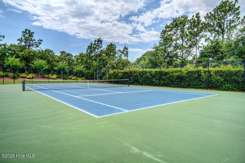 100553445 | Photo 43