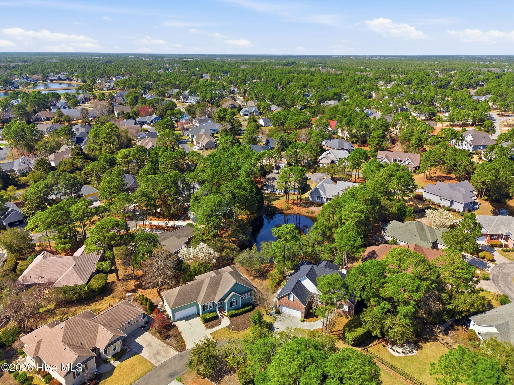 100560993 | Photo 46