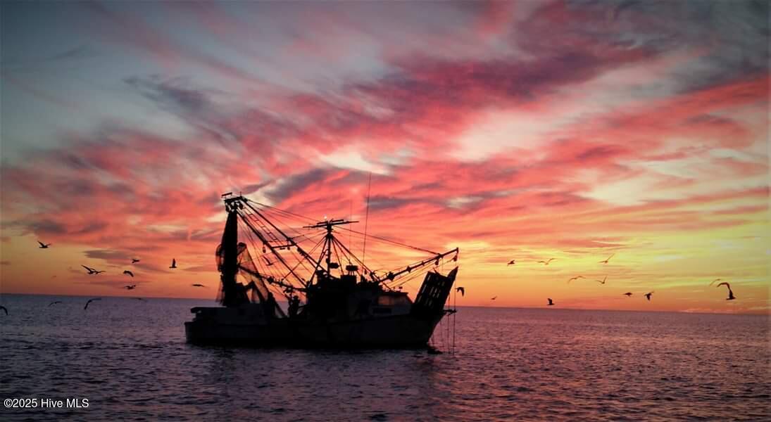 100537510 | Photo 66