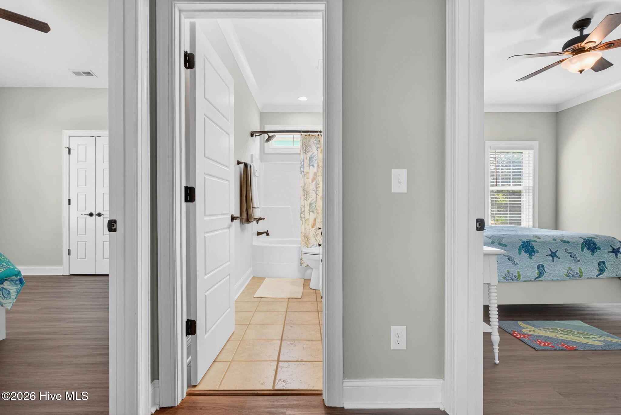 100568136 | Photo 24