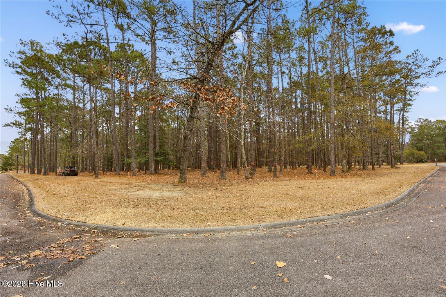 100555112 | Photo 50