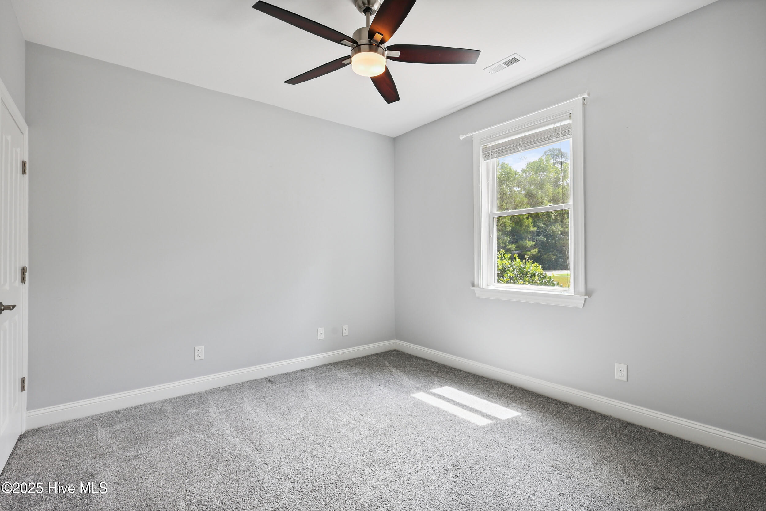 100518241 | Photo 24