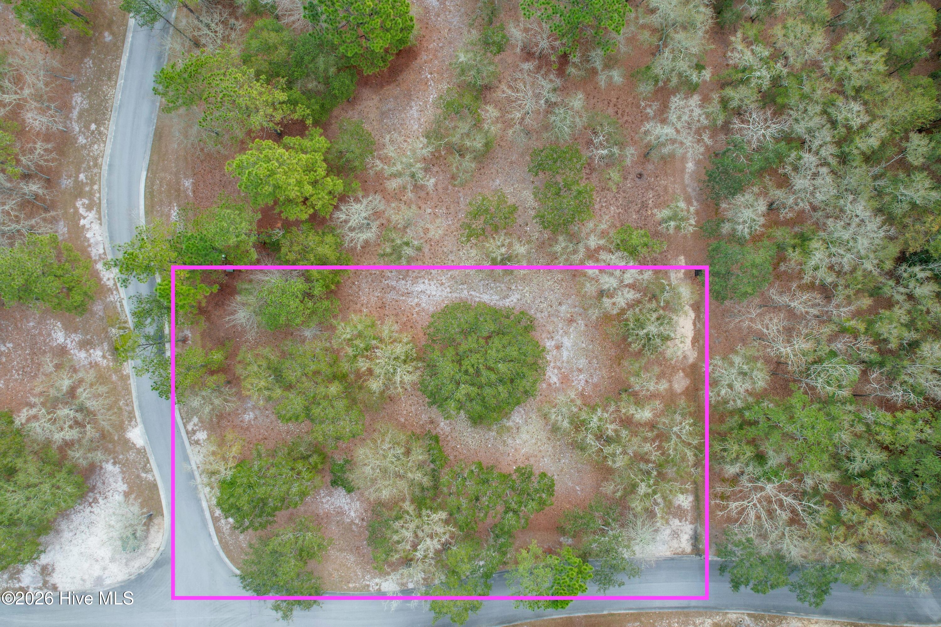 100560479 | Photo 11