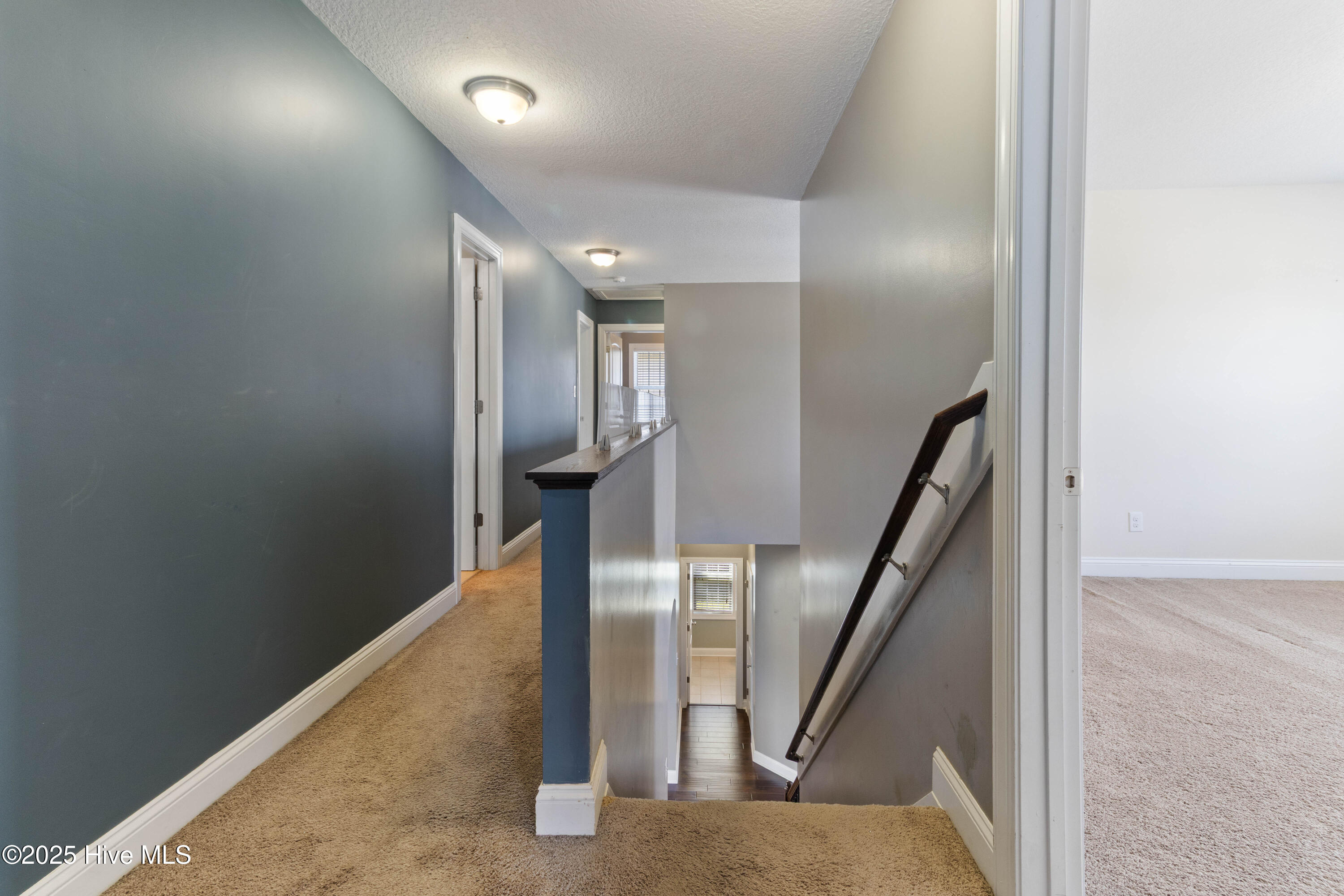 100528523 | Photo 35