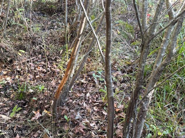 100542829 | Photo 10