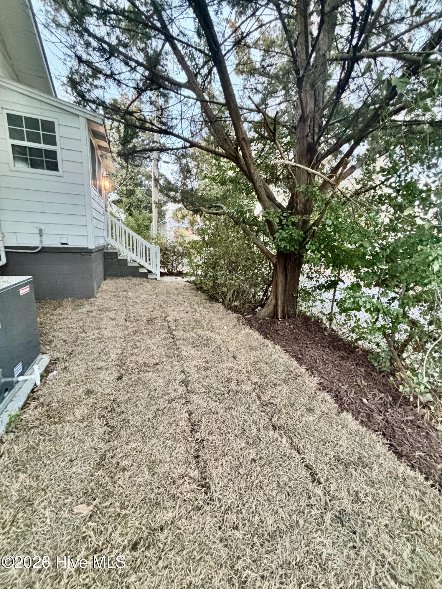 100556581 | Photo 31