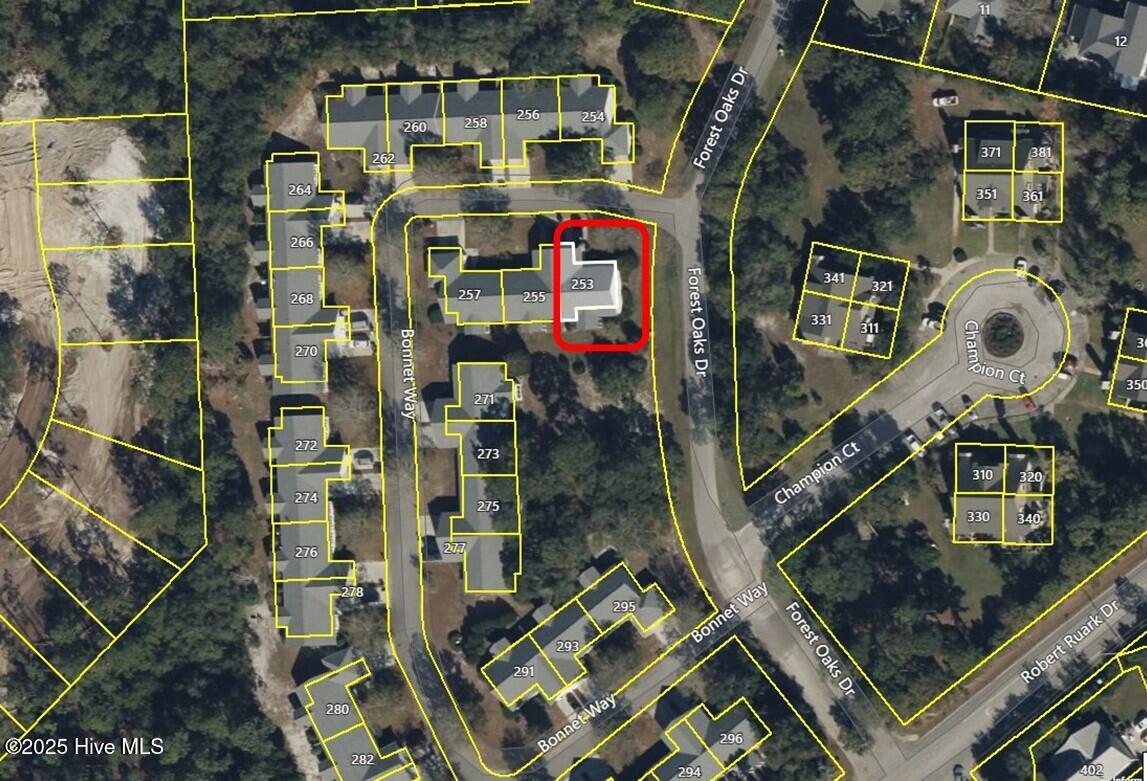 100566935 | Photo 13