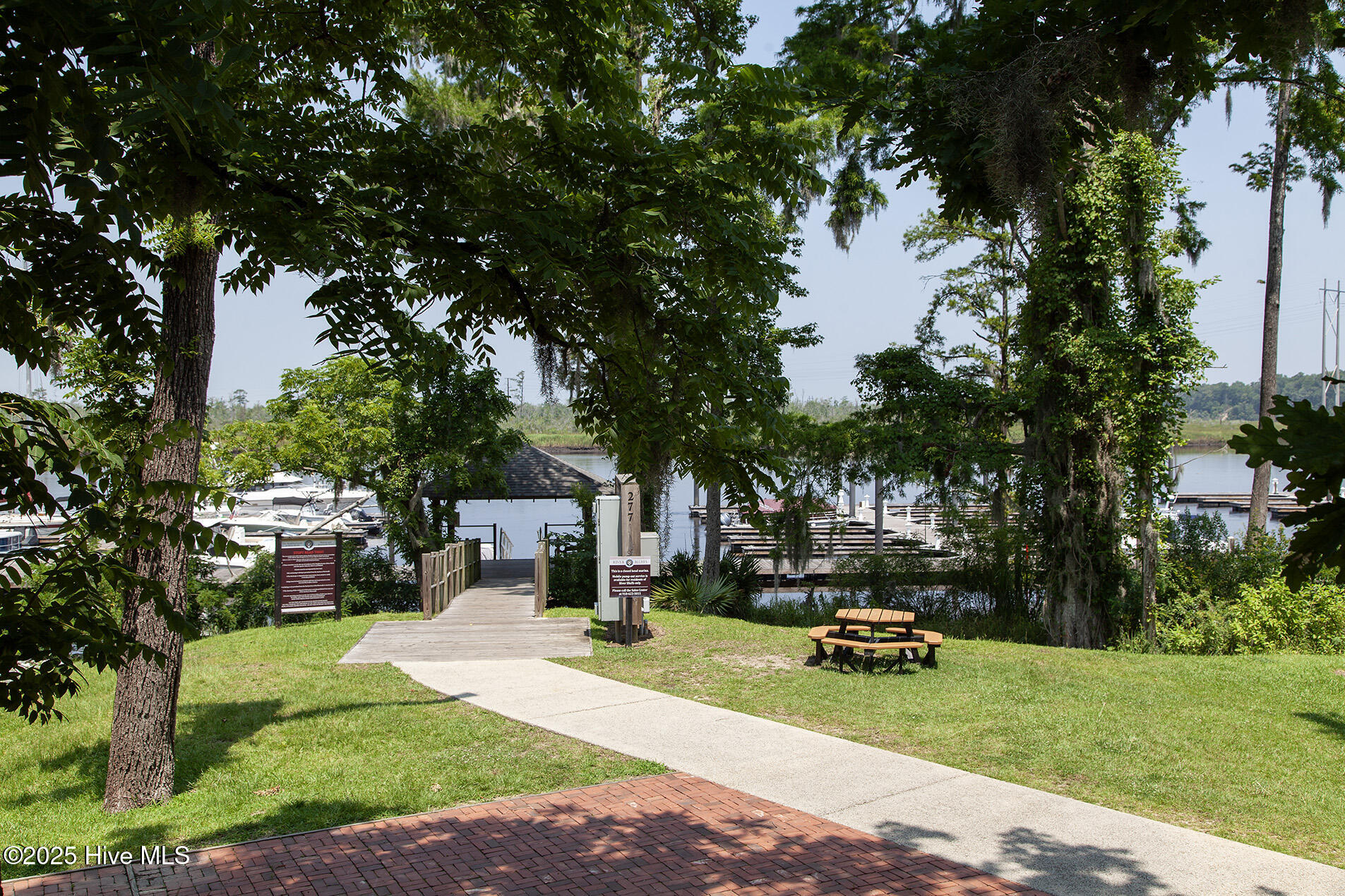 100556749 | Photo 70