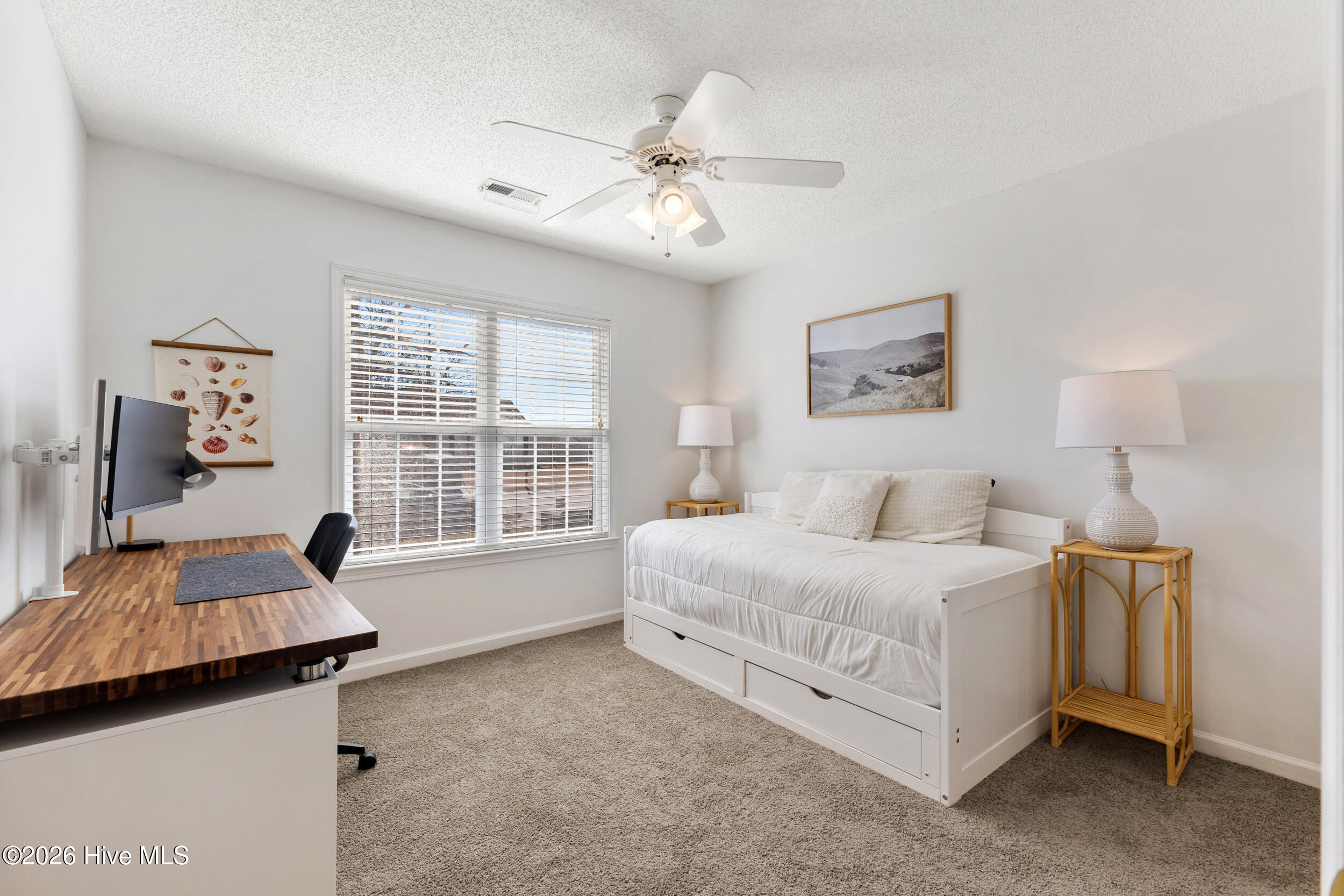 100554431 | Photo 23