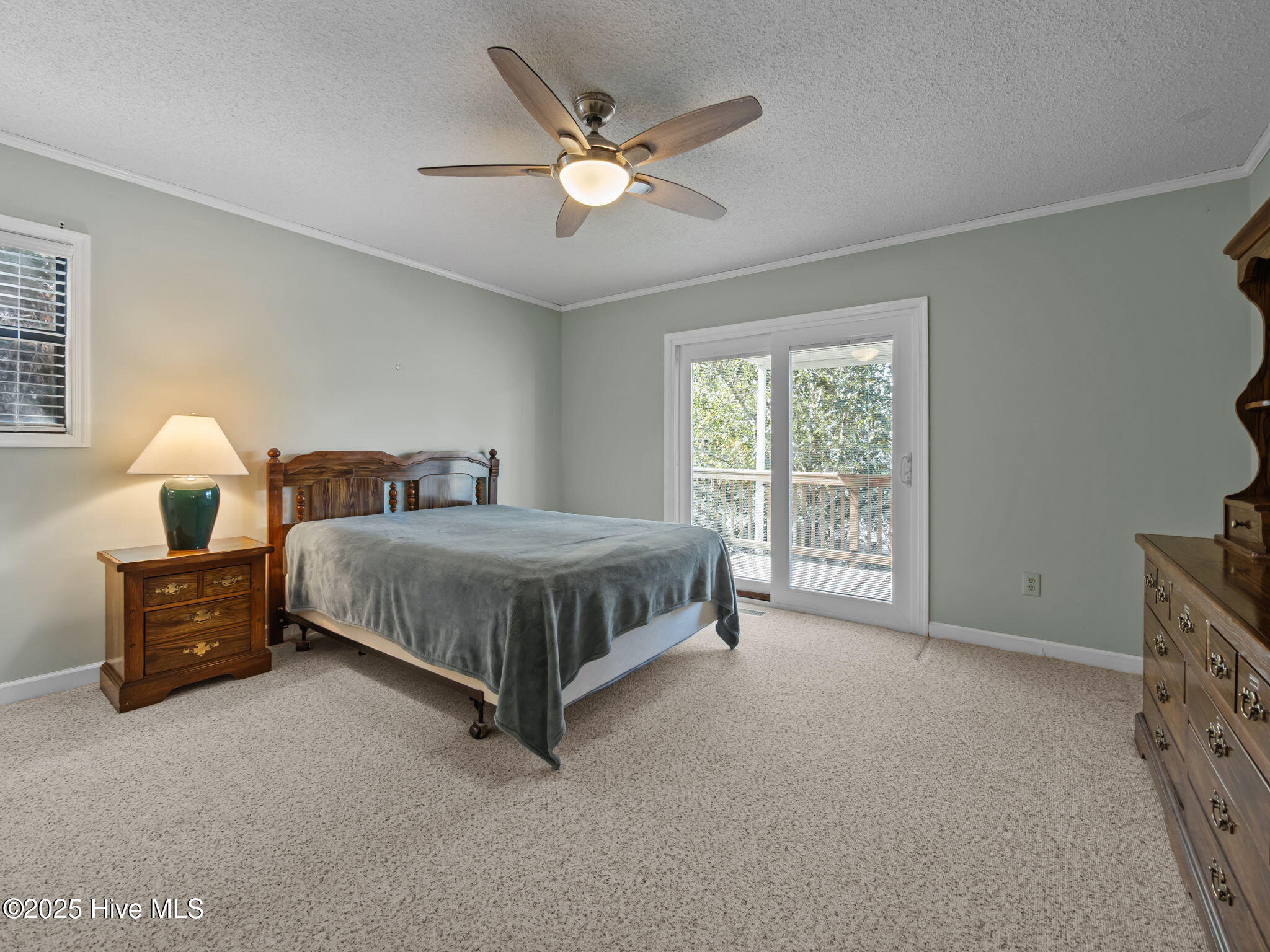 100533073 | Photo 21