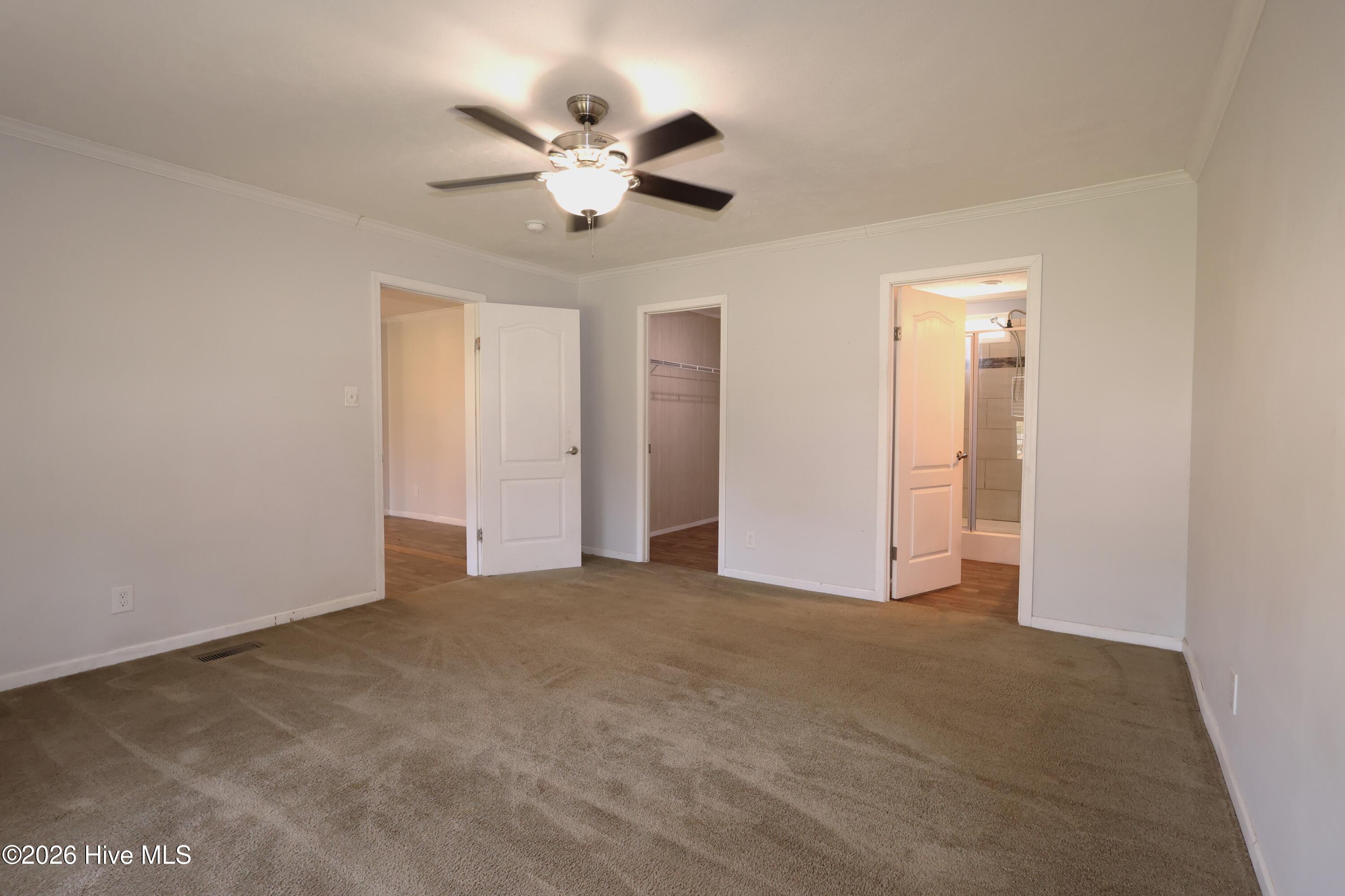 100564775 | Photo 12