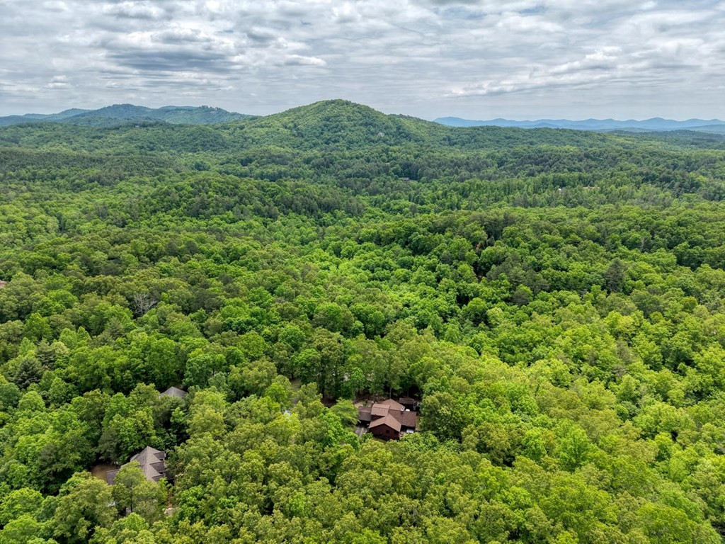 277 Clay Durrett Road, Murphy, NC 28906 Listing Photo  75